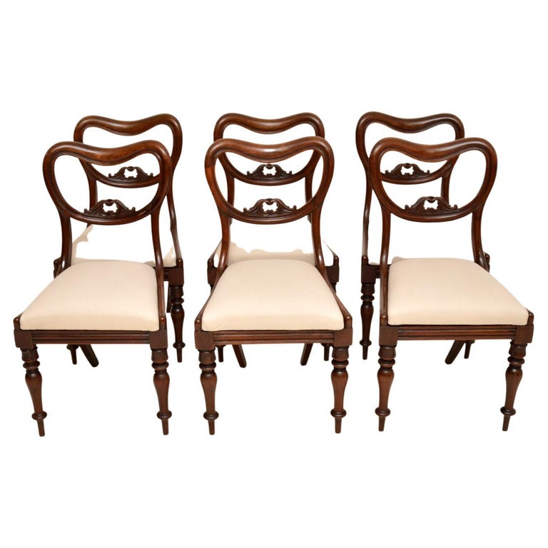 Set of 6 Antique William IV Dining Chairs For Sale at 1stDibs