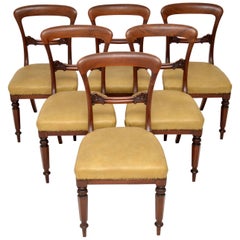 Set of 6 Antique William IV Mahogany Dining Chairs