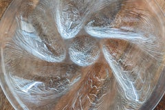 Set Of 6 Arcoroc Oyster Plates