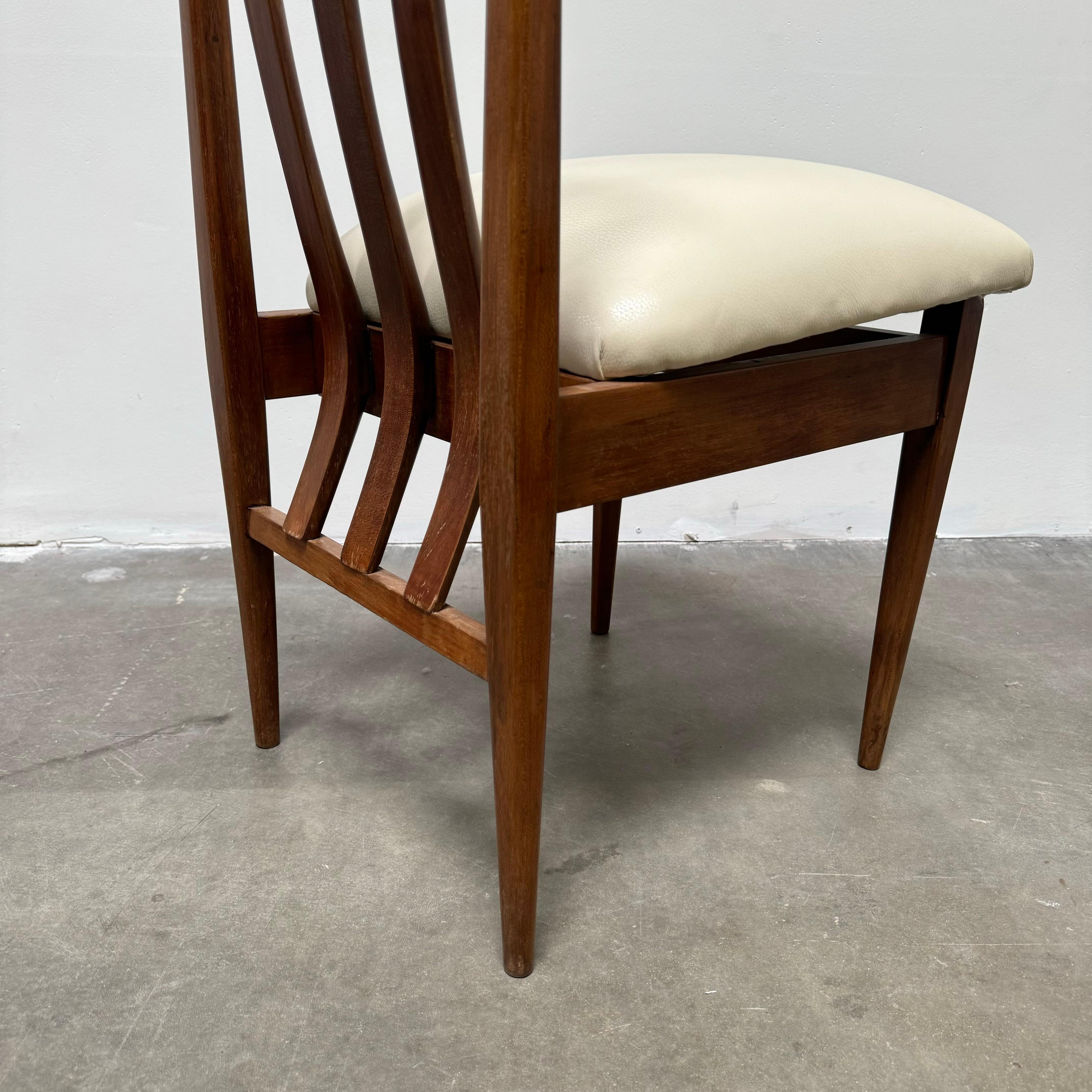 Set of 6 Argentinian Peteribí Wood Dining Chairs, Argentina 1960s 6