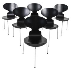 Set of 6 Arne Jacobsen Black Lacquer Ant Chairs by Fritz Hansen