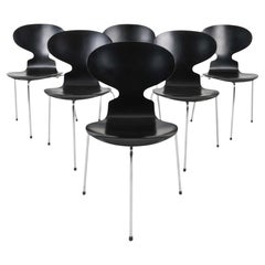 Satz von 6 Arne Jacobsen Geweihstühlen aus schwarzem Lack von Fritz Hansen