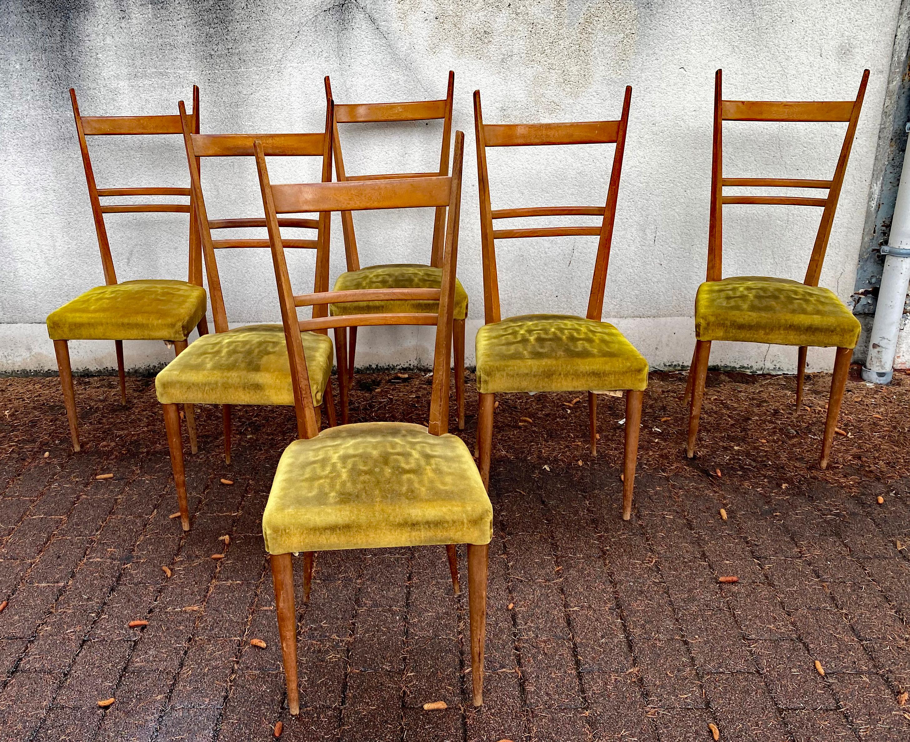 Mid-Century Modern Set of 6 Ashwood Chairs in the Style of Gio Ponti, Edition Roset For Sale