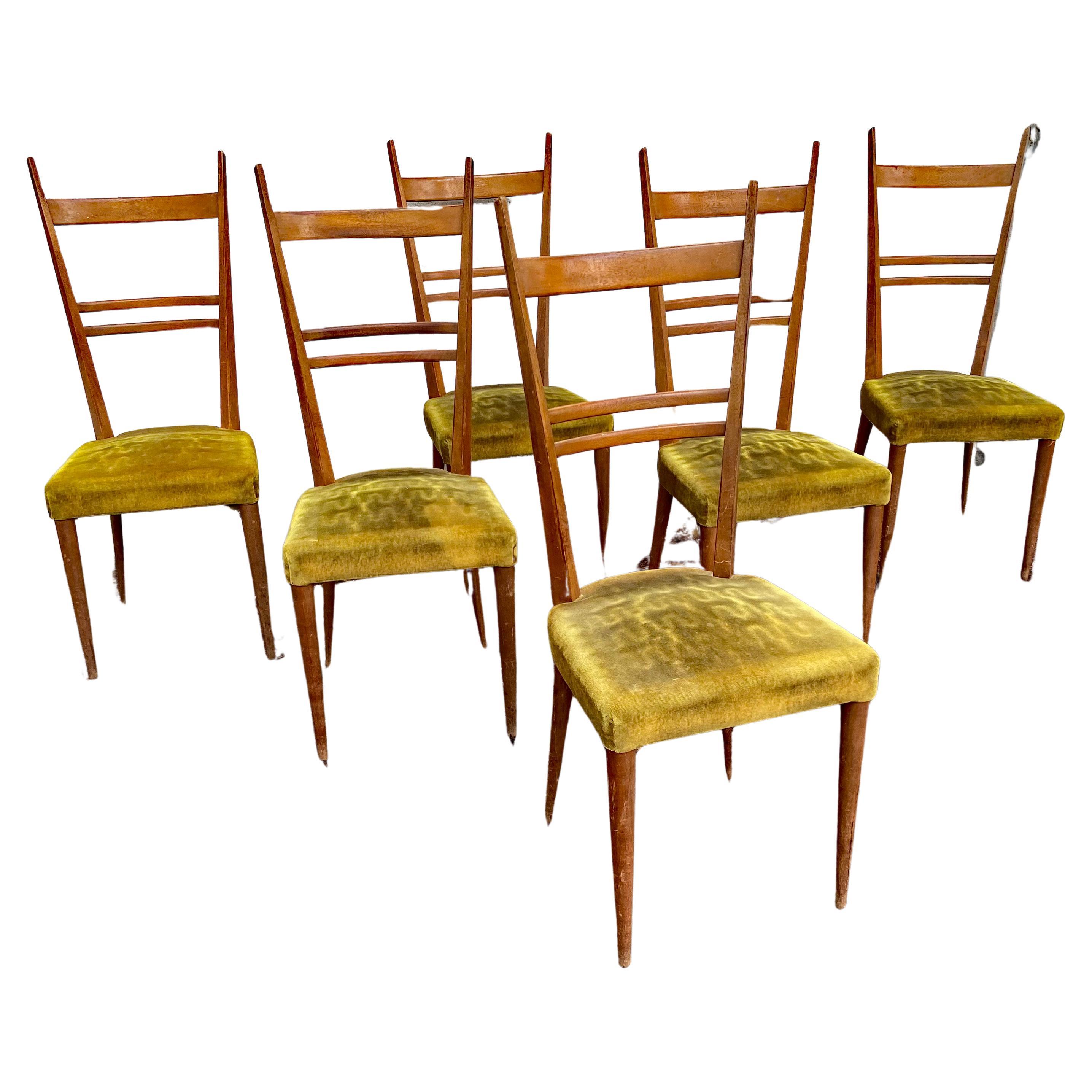 Set of 6 Ashwood Chairs in the Style of Gio Ponti, Edition Roset