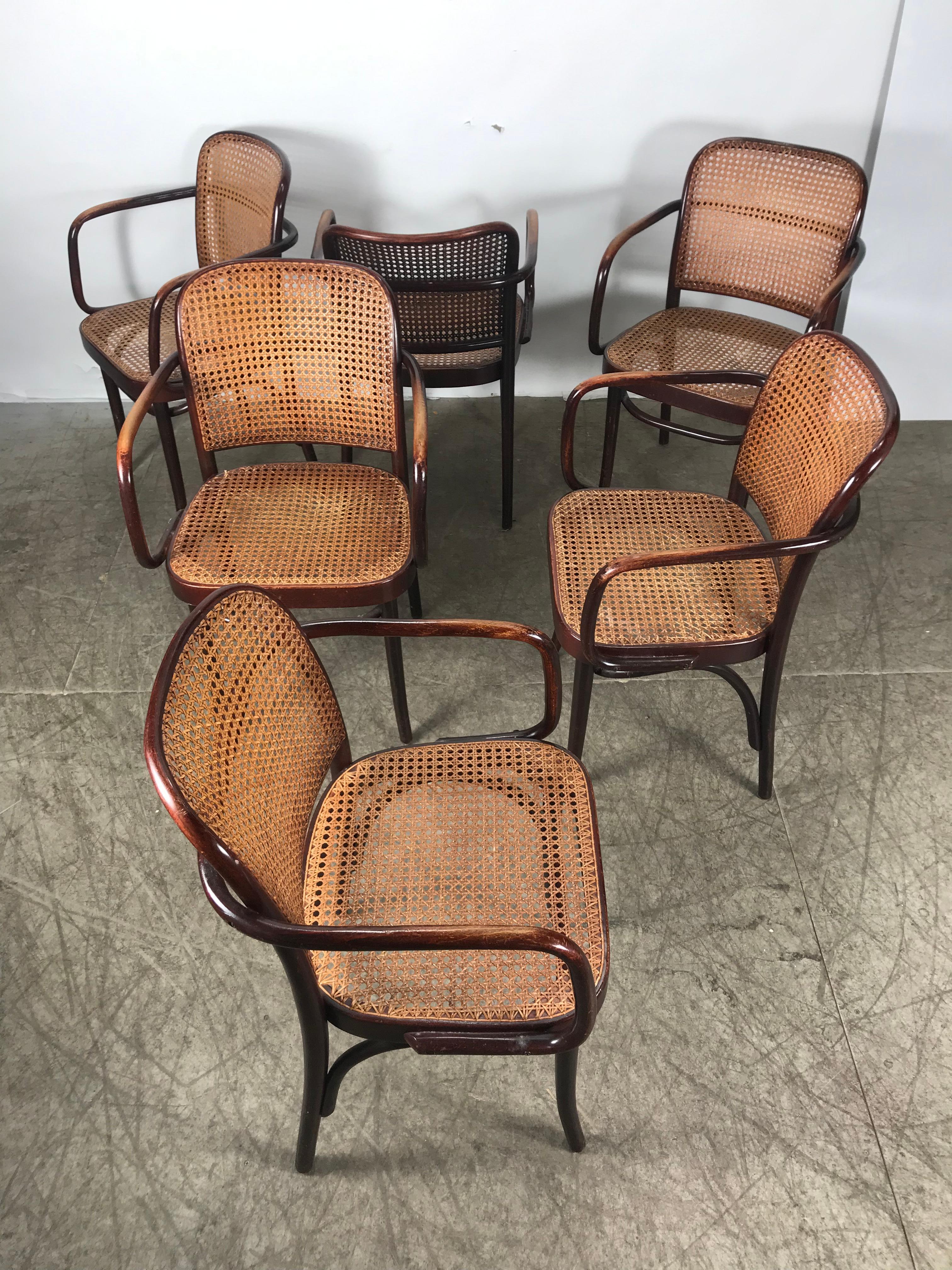 Polish Set of 6 Bentwood and Cane Armchairs 