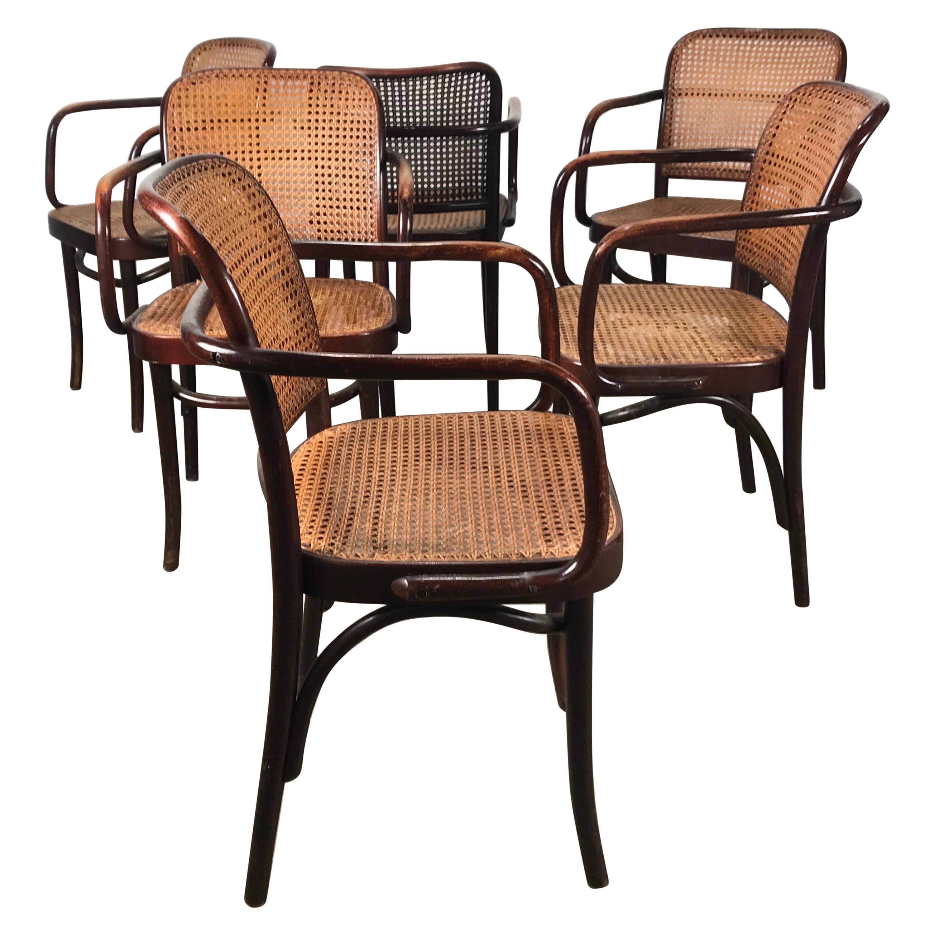 Set of 6 Bentwood and Cane Armchairs "Prague" by Josef Hoffmann