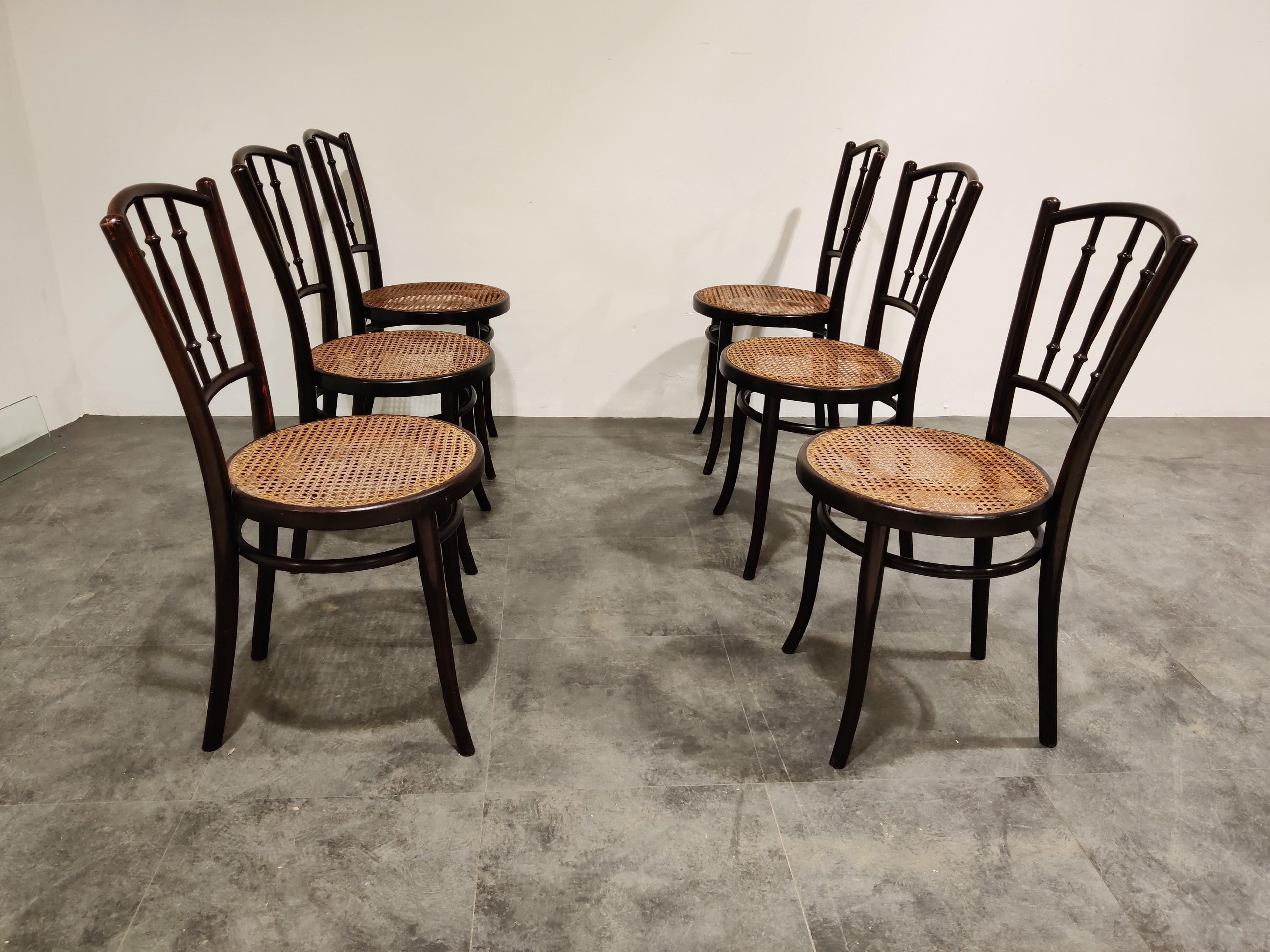 Set of 6 bentwood bistro chairs by Thonet, Vienna

These chairs were made in the early 20th century and most of them still have the original label and or stamp.

Rare to find a pair of intact Thonet chairs from that period. Original cane webbing