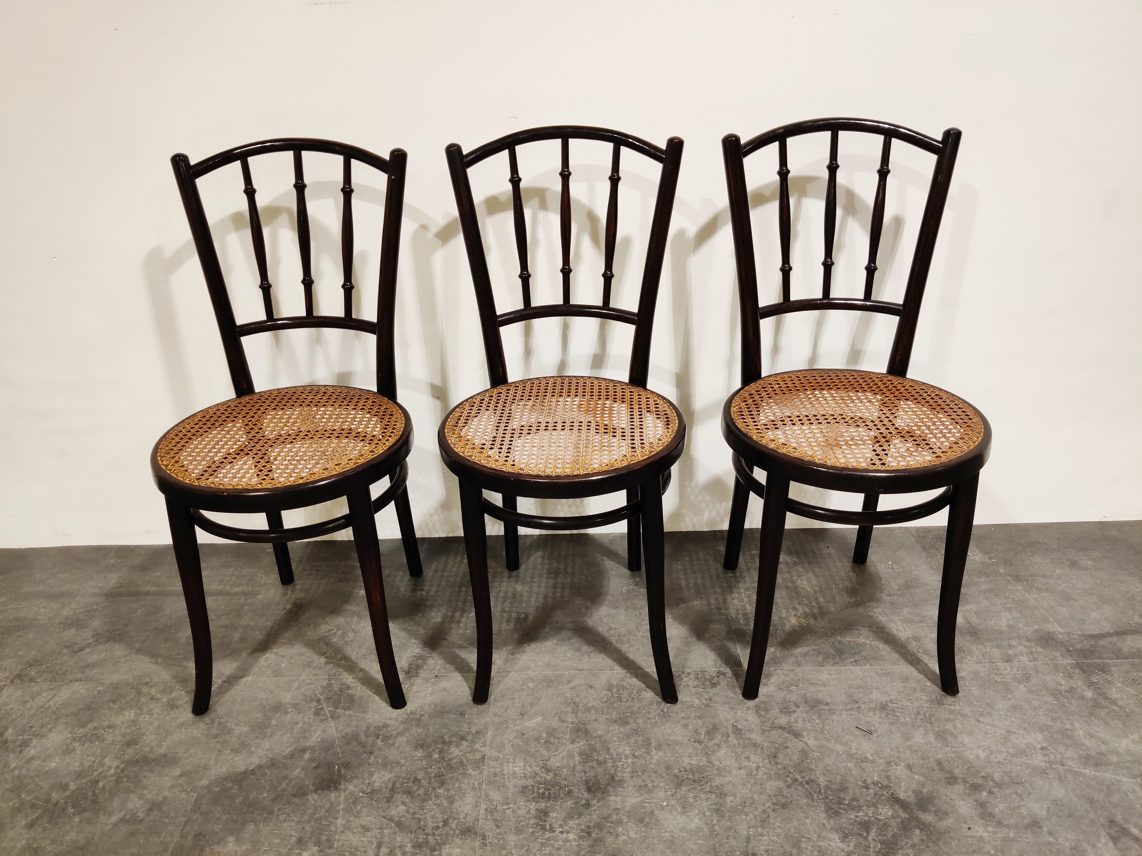 Austrian Set of 6 Bentwood Chairs by Thonet, 1920s, Austria