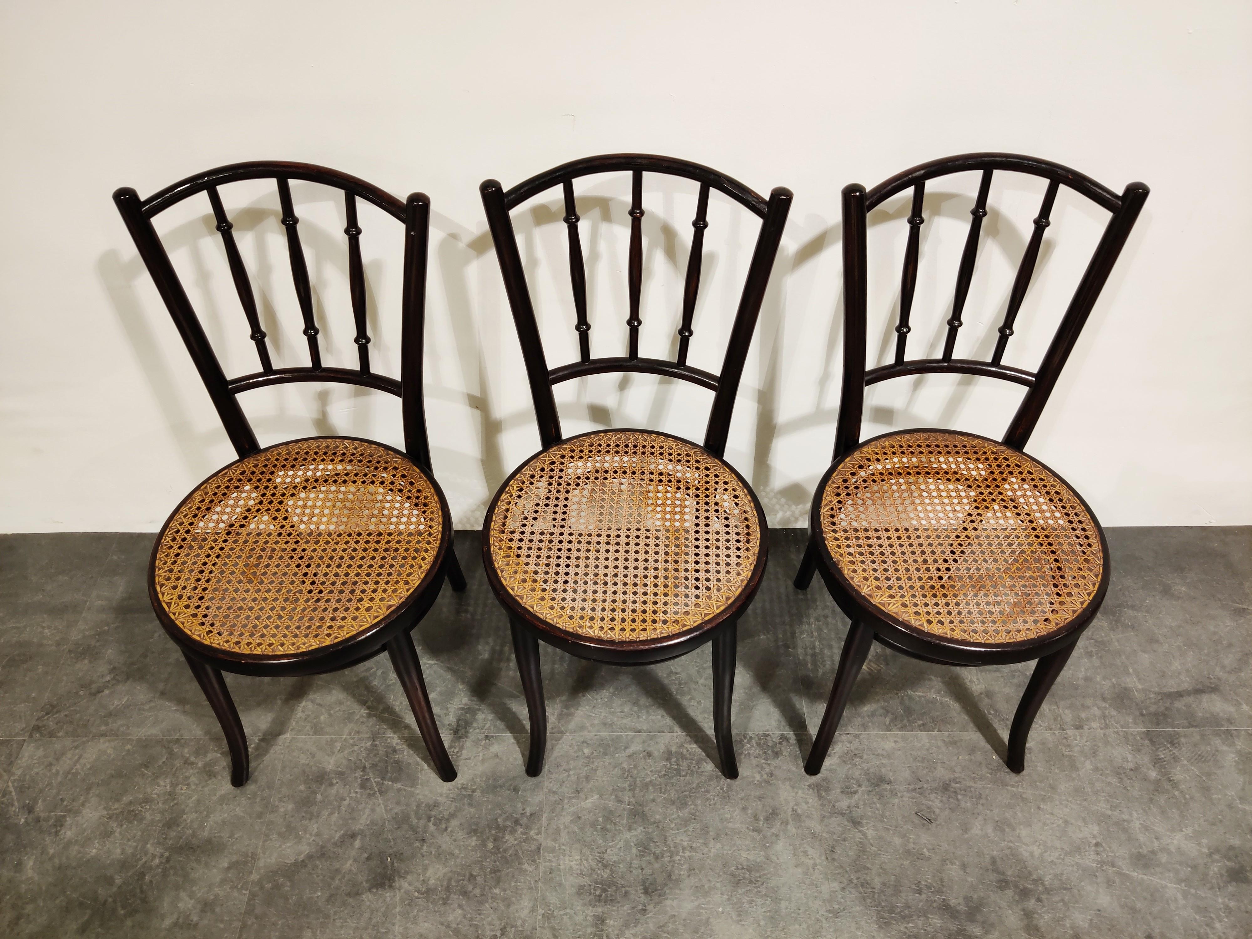 Set of 6 Bentwood Chairs by Thonet, 1920s, Austria In Good Condition In HEVERLEE, BE