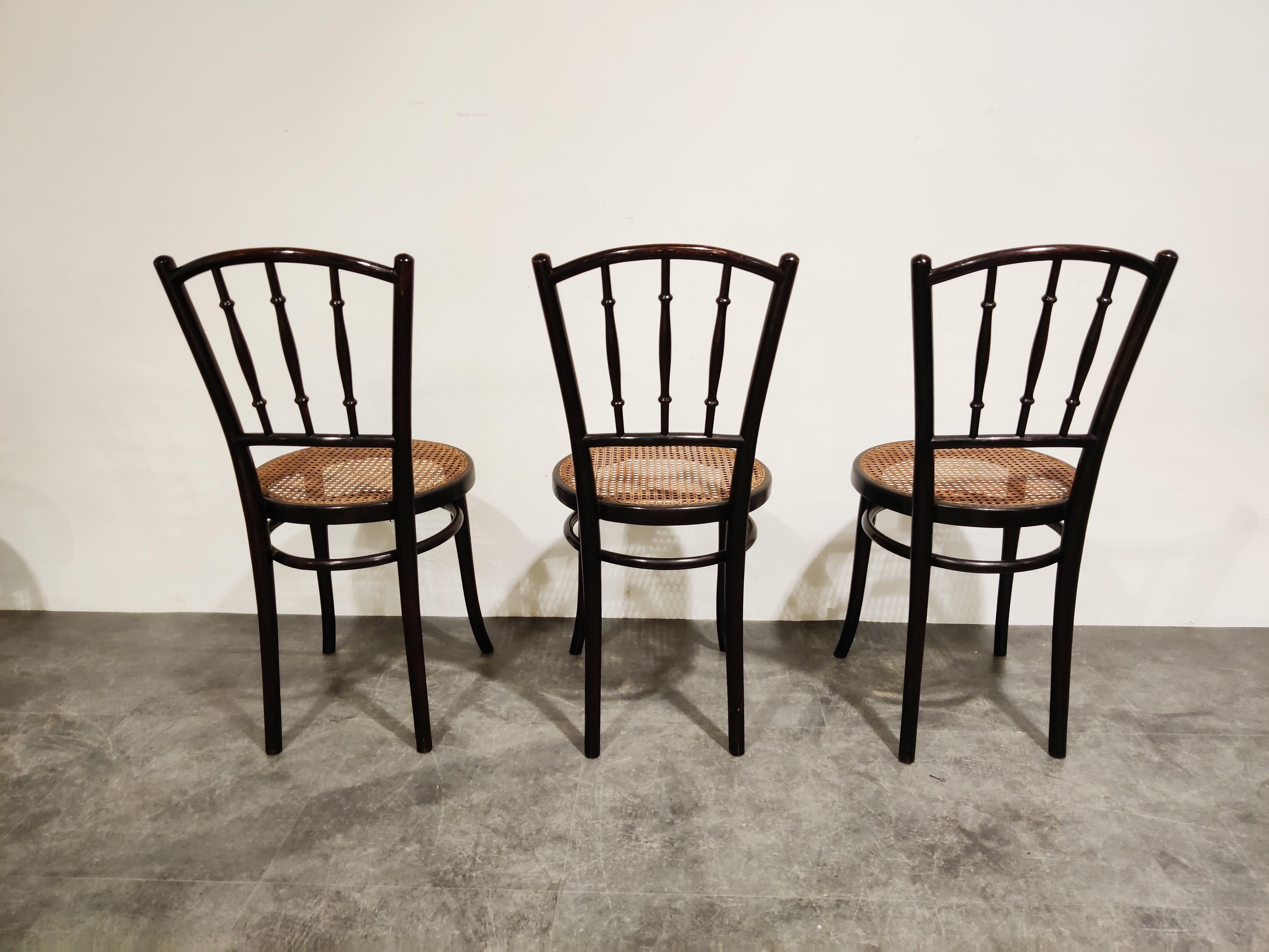 Early 20th Century Set of 6 Bentwood Chairs by Thonet, 1920s, Austria