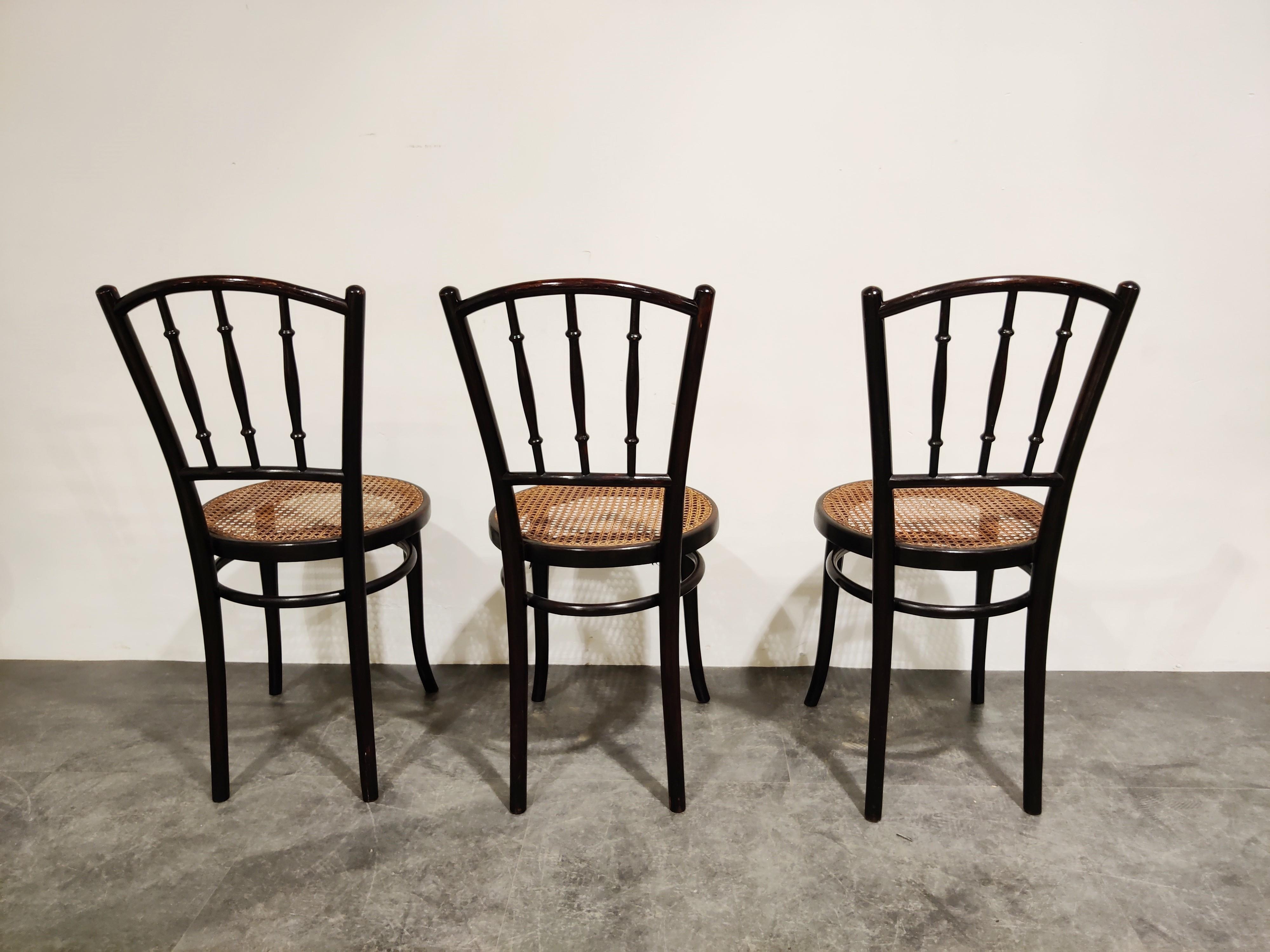 Cane Set of 6 Bentwood Chairs by Thonet, 1920s, Austria