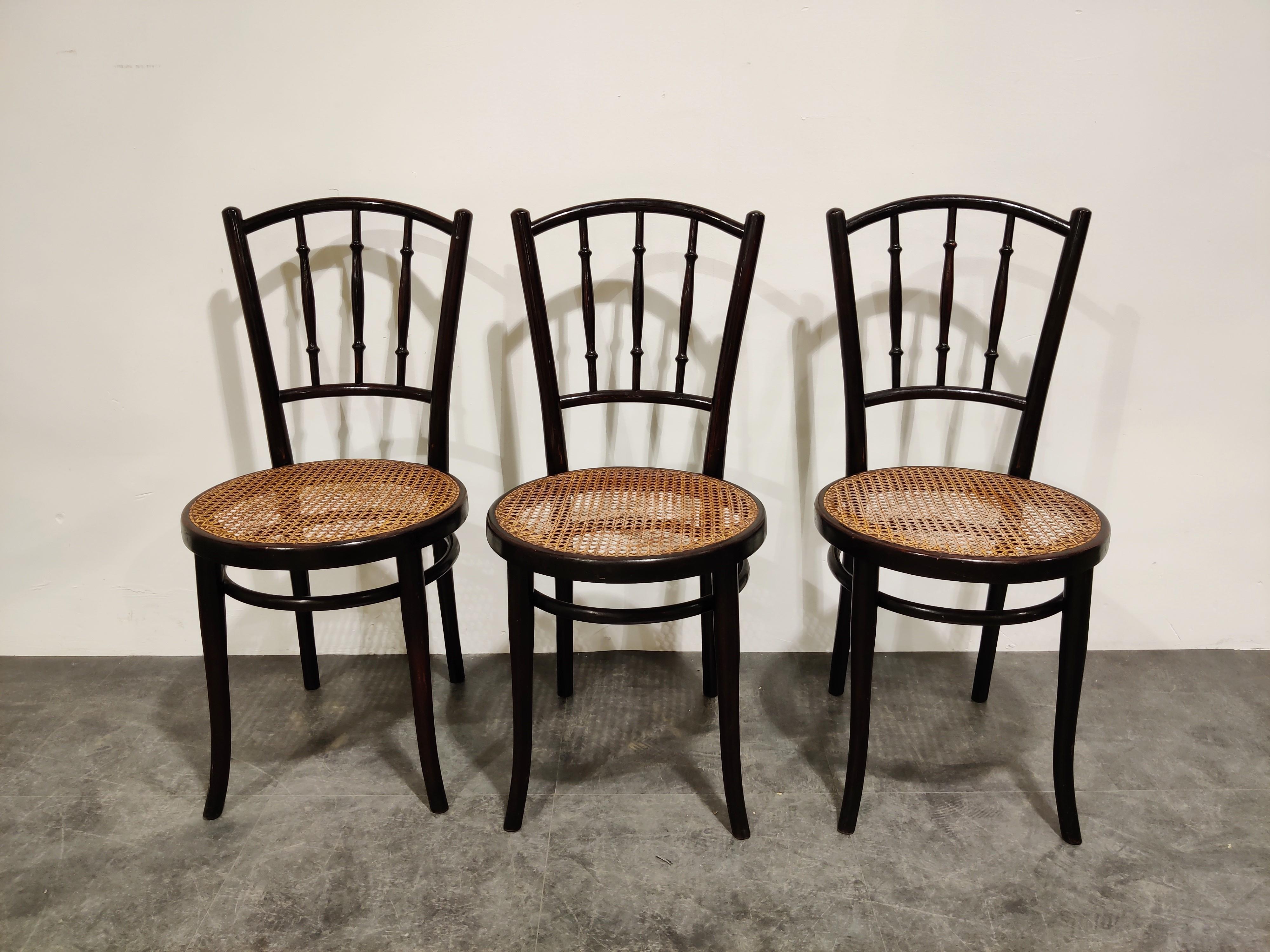 Set of 6 Bentwood Chairs by Thonet, 1920s, Austria 1