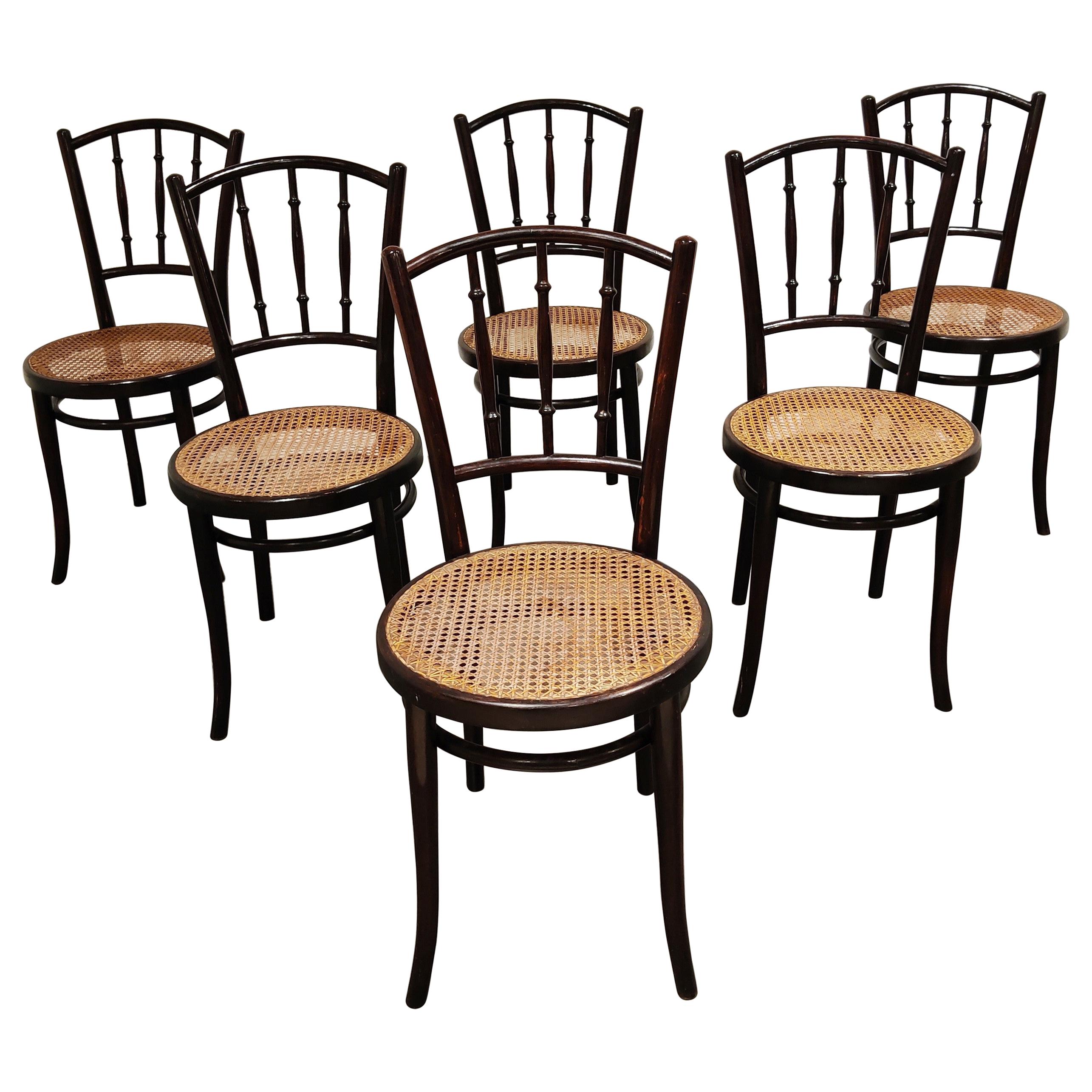 Set of 6 Bentwood Chairs by Thonet, 1920s, Austria