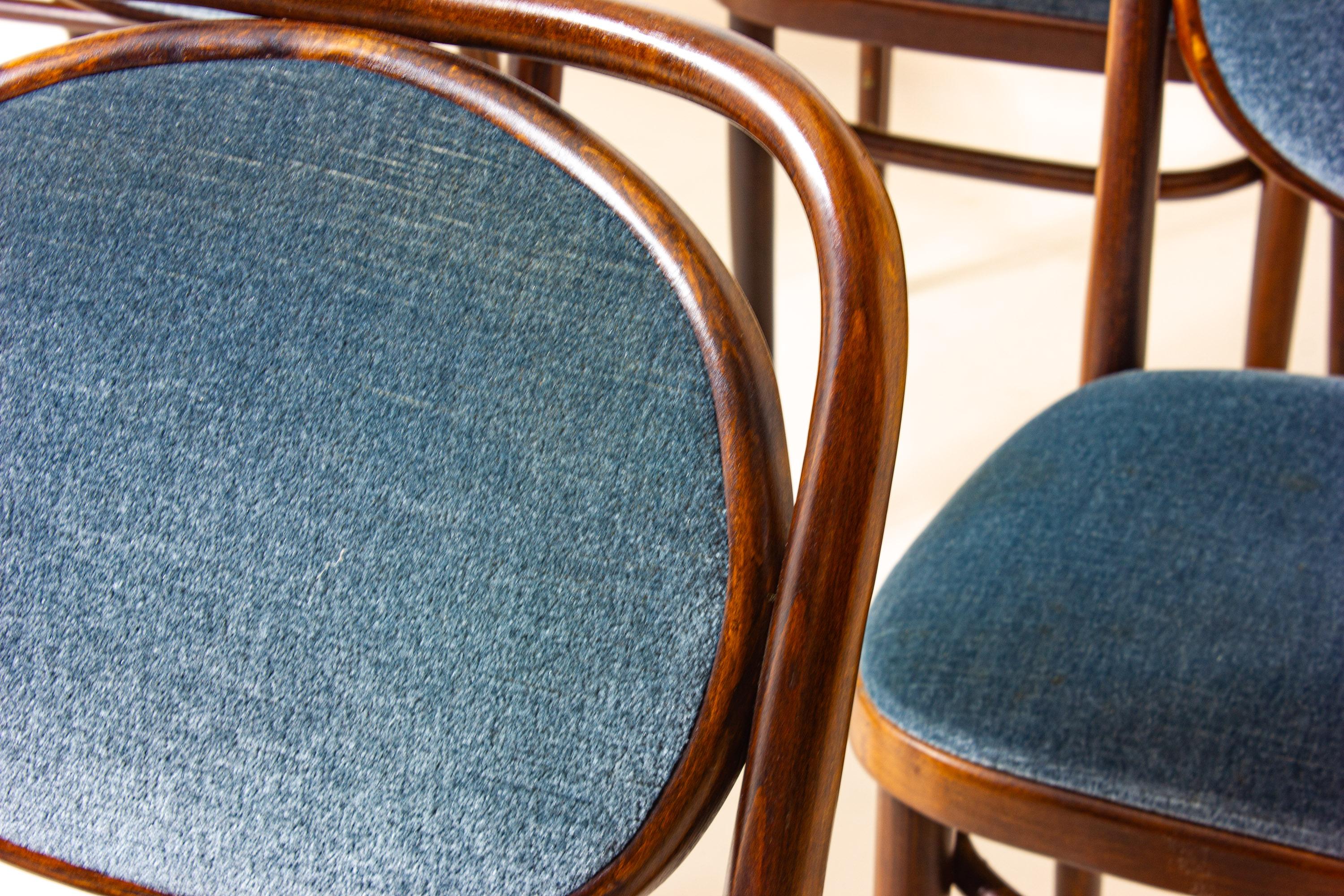 Set di 6 sedie in legno curvato con velluto blu di Josef Hoffman per Thonet, anni '60 in vendita 4