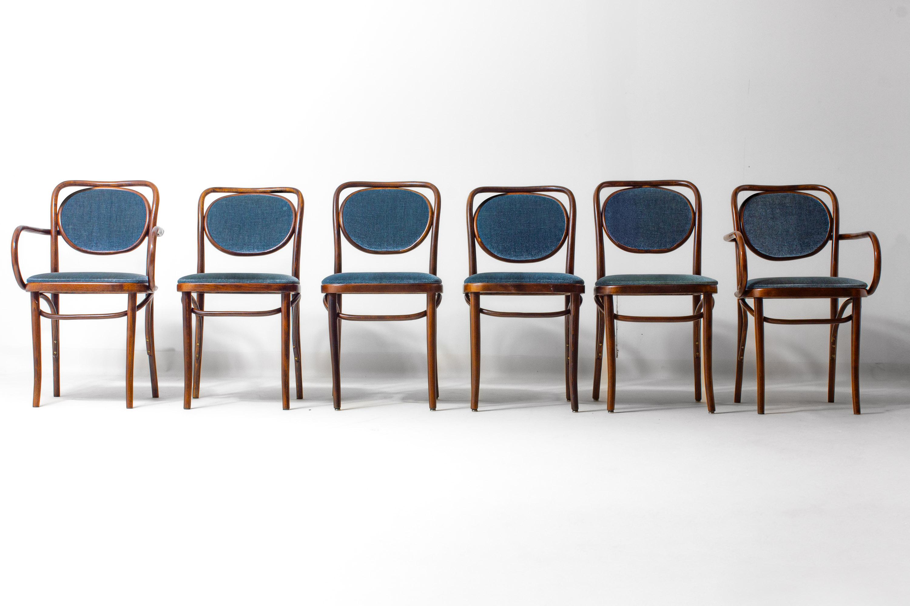 Mid-Century moderno Set di 6 sedie in legno curvato con velluto blu di Josef Hoffman per Thonet, anni '60 in vendita