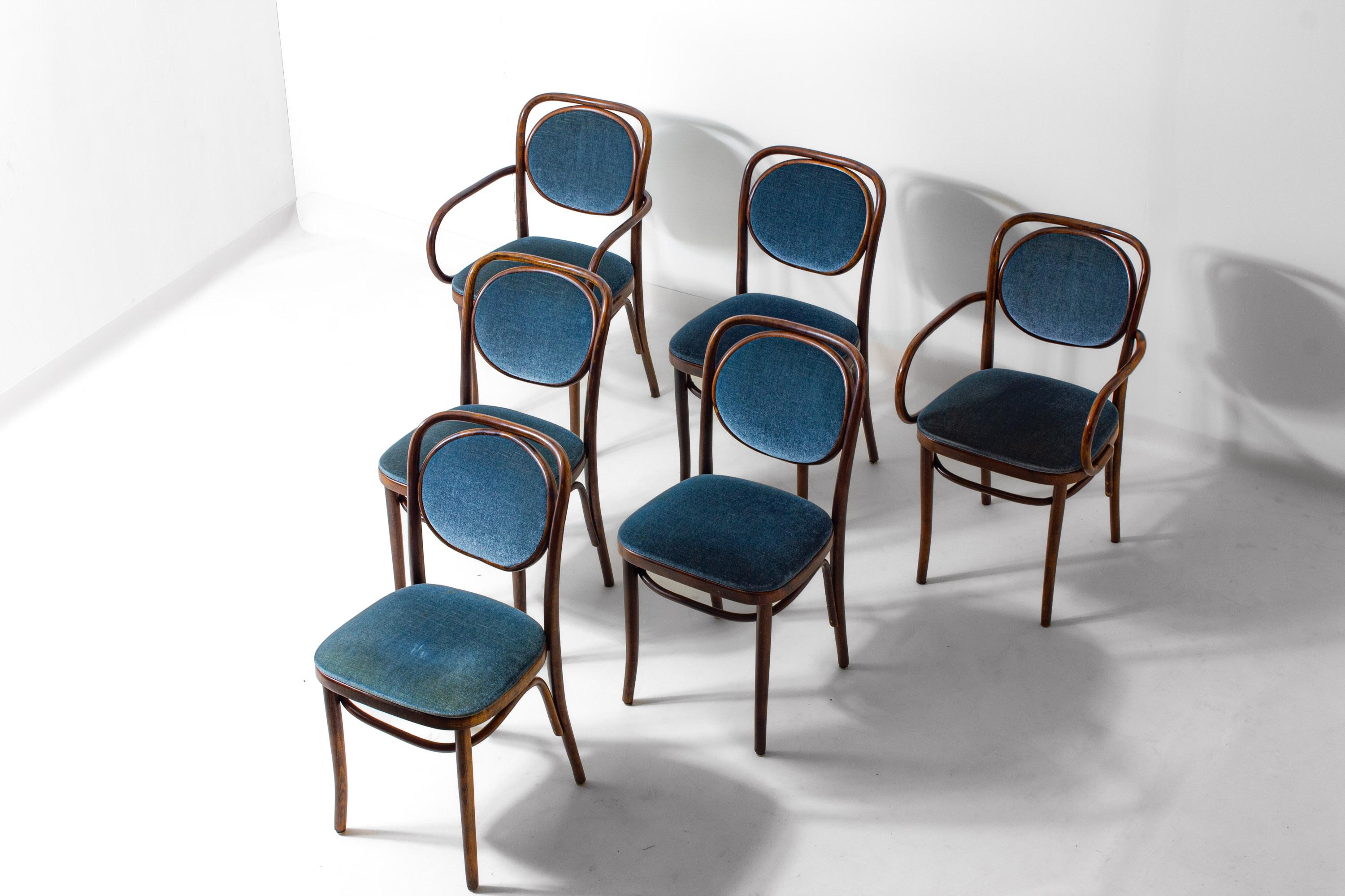 Set di 6 sedie in legno curvato con velluto blu di Josef Hoffman per Thonet, anni '60 in vendita 3
