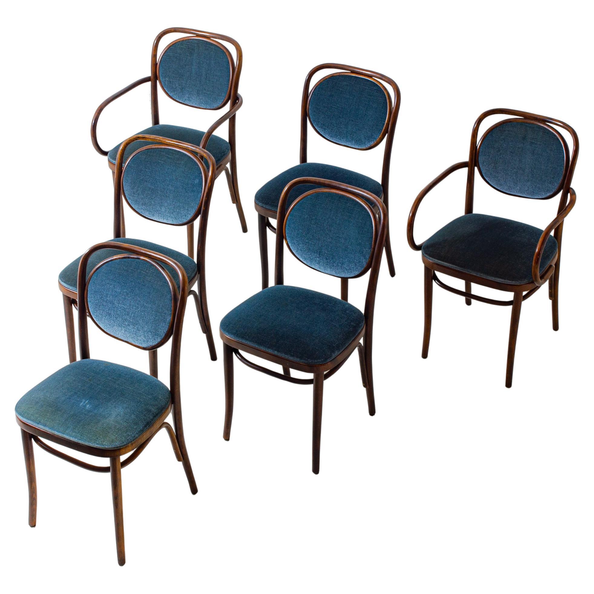 Set of 6 bentwood chairs in blue velvet by Josef Hoffman for Thonet, 1960s