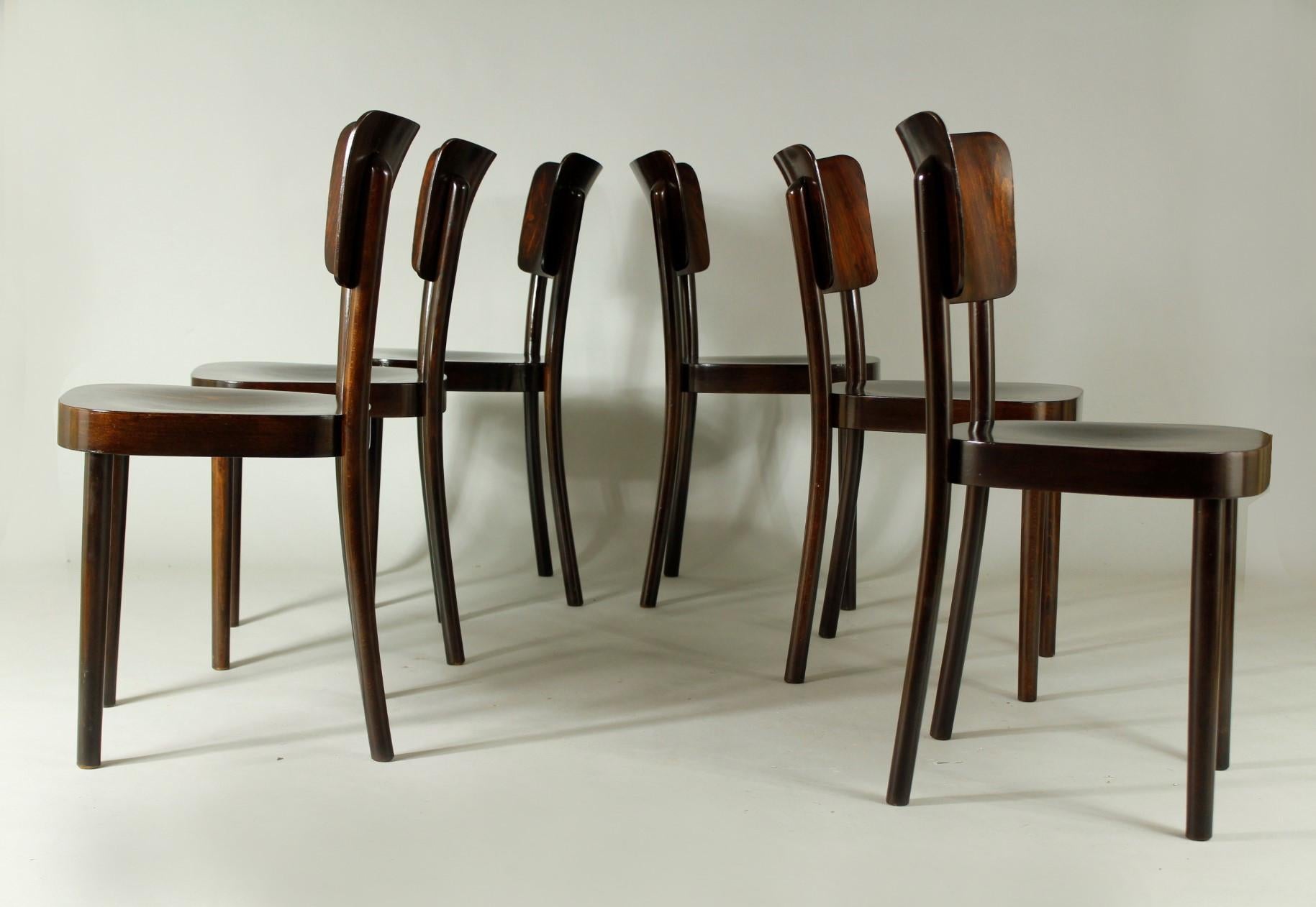 Set of six beech and bentwood dining chairs manufactured by Ton in 1955. These chairs have been restored and refinished.