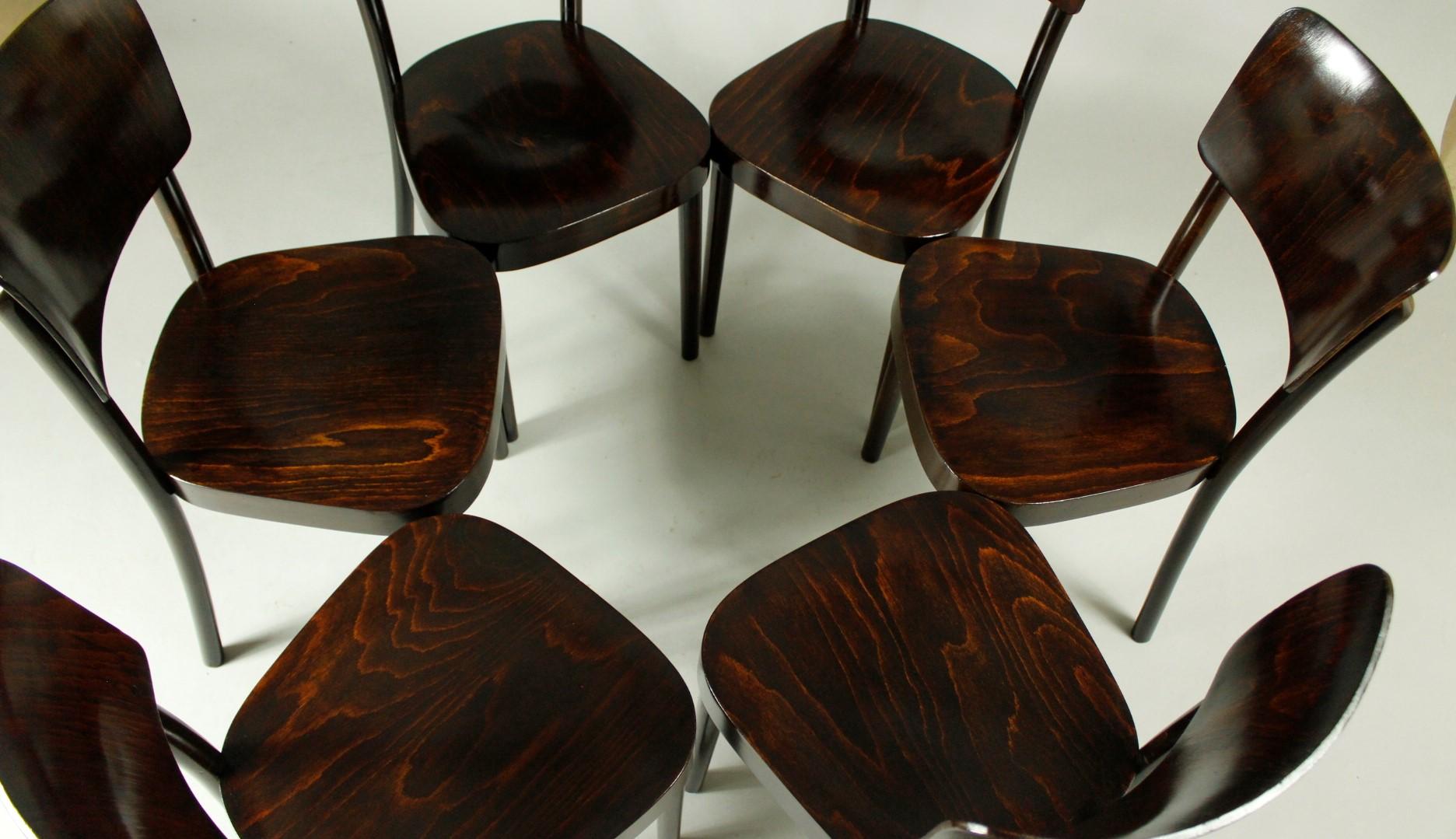 Mid-Century Modern Set of 6 Bentwood Dining Chairs from Ton, 1950s For Sale