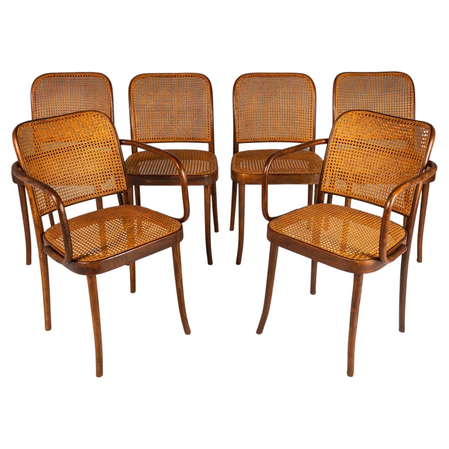 Set of (6) Bentwood Prague Model 811 Dining Chairs by Josef Frank Josef Hoffmann