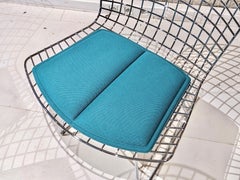 Set of 6 Bertoia Chairs for Knoll