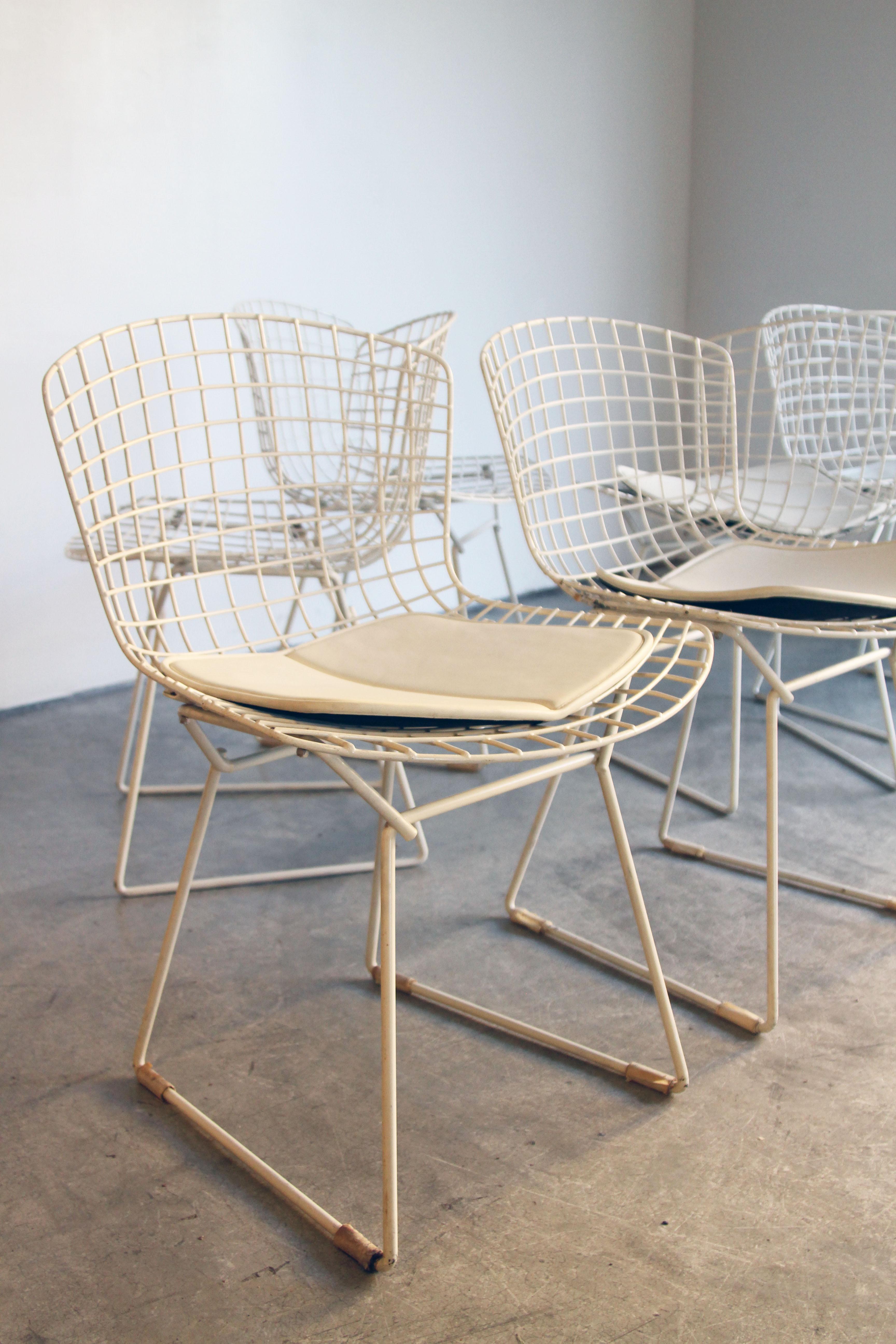 Set of 6 Bertoia Side Chairs for Knoll Vintage 6