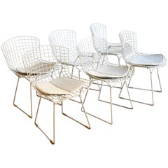 Set of 6 Bertoia Side Chairs for Knoll Vintage