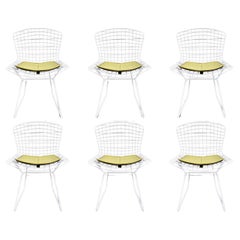 Ensemble de 6 chaises Bertoia en fil métallique avec coussins jaunes originaux de Knoll