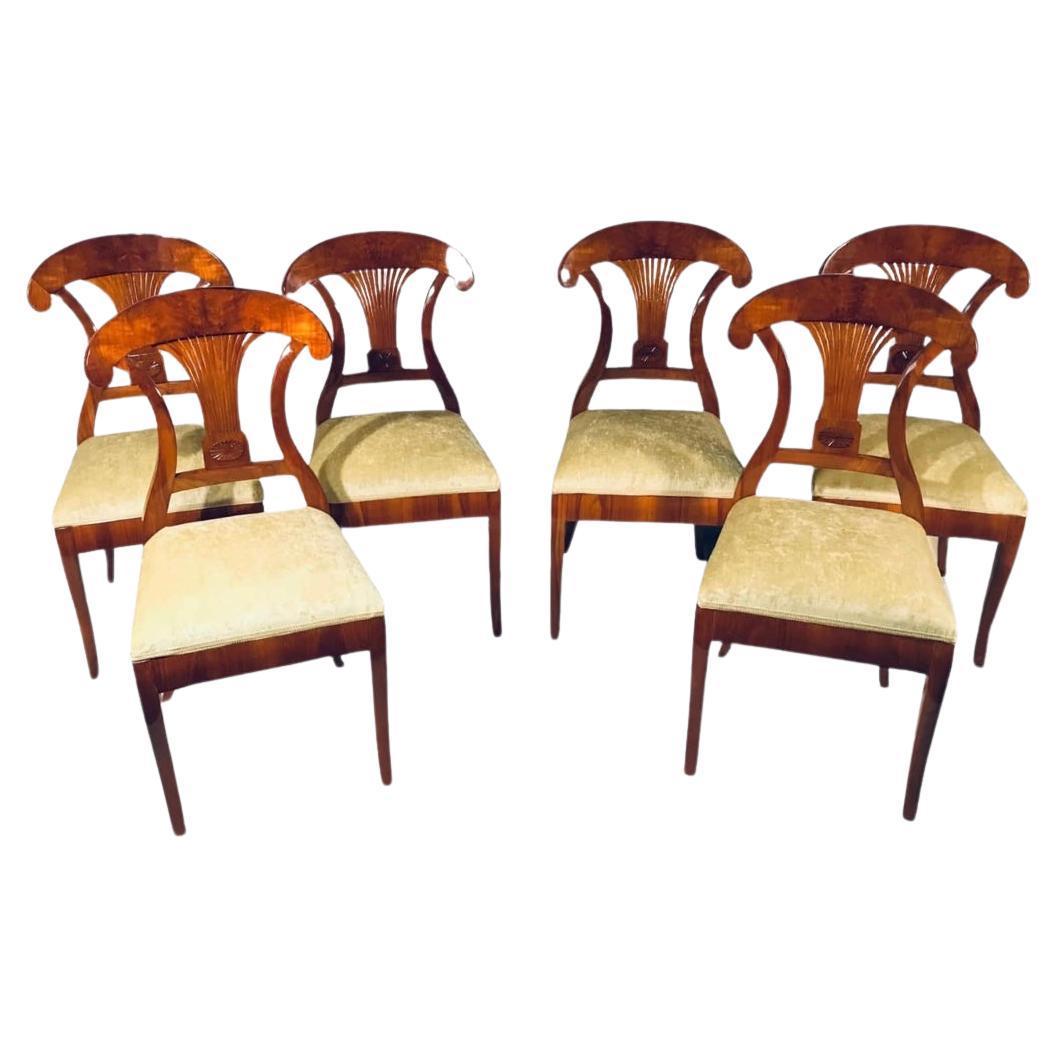 Juego de 6 sillas Biedermeier, 1820