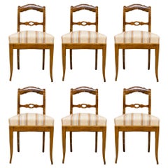 Antique Set of 6 Biedermeier Chairs, Germany, 19th Century