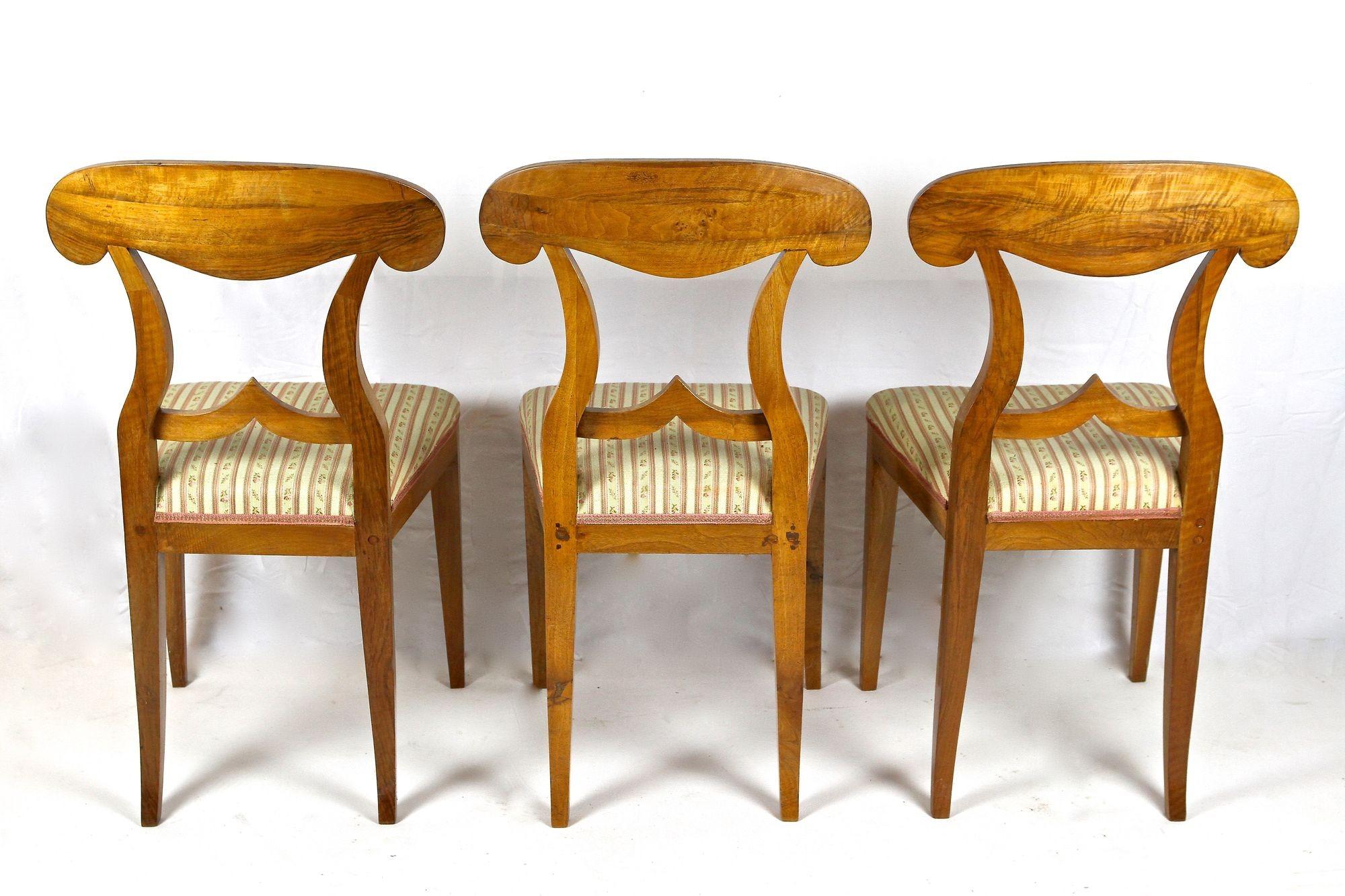 Set Of 6 Biedermeier Nutwood Shovel Dining Chairs, 19th Century, AT ca. 1830 For Sale 6