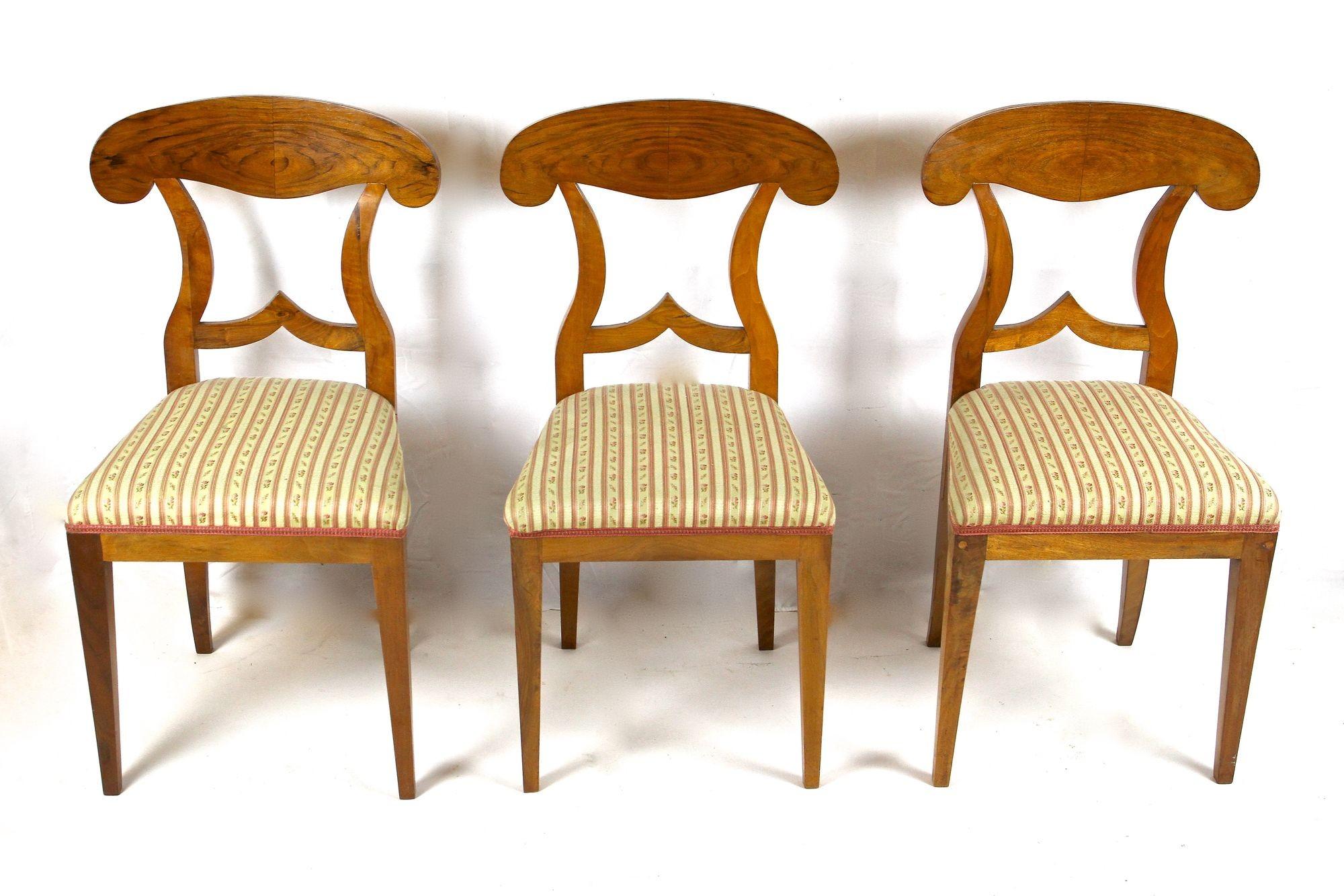 Polished Set Of 6 Biedermeier Nutwood Shovel Dining Chairs, 19th Century, AT ca. 1830 For Sale