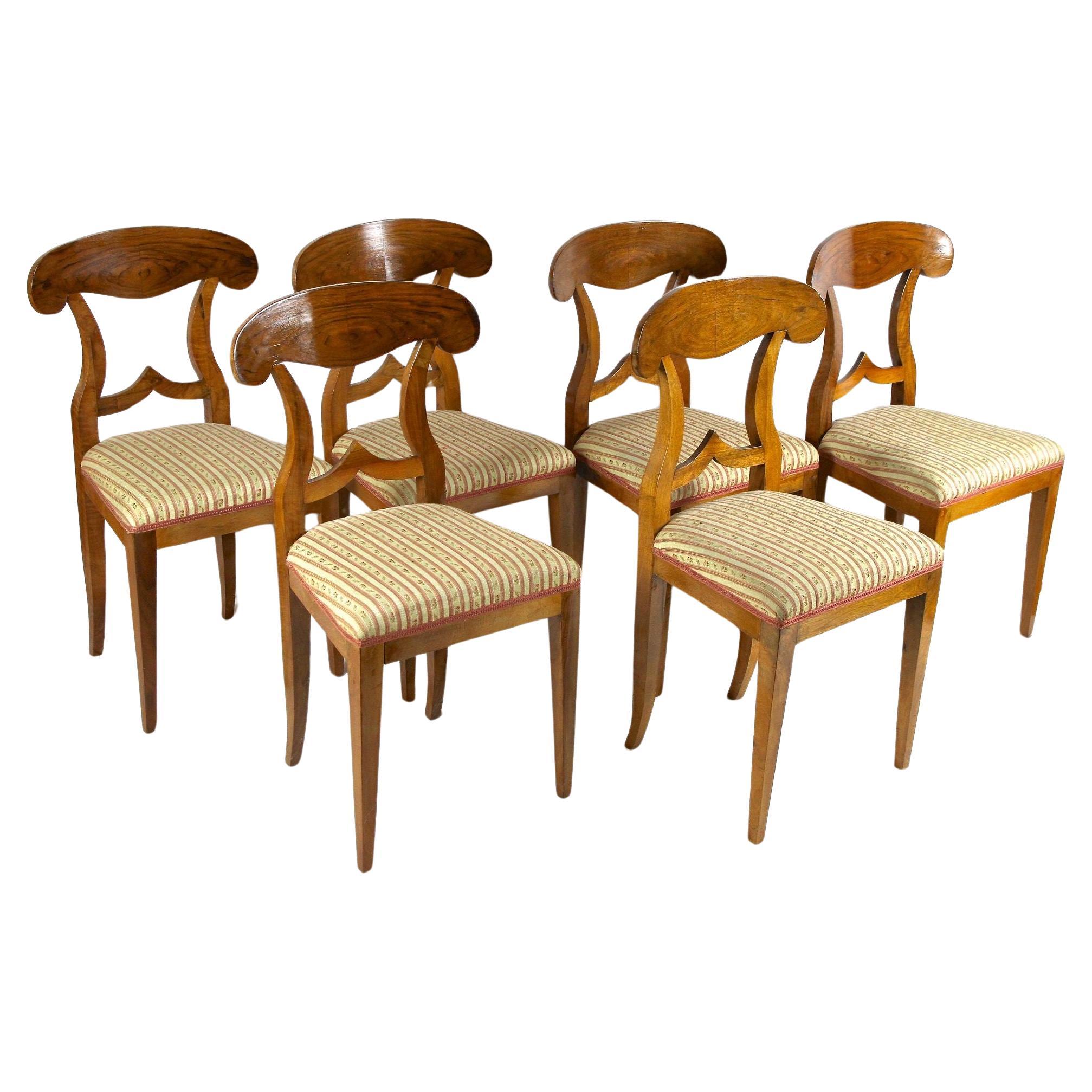 Set Of 6 Biedermeier Nutwood Shovel Dining Chairs, 19th Century, AT ca. 1830