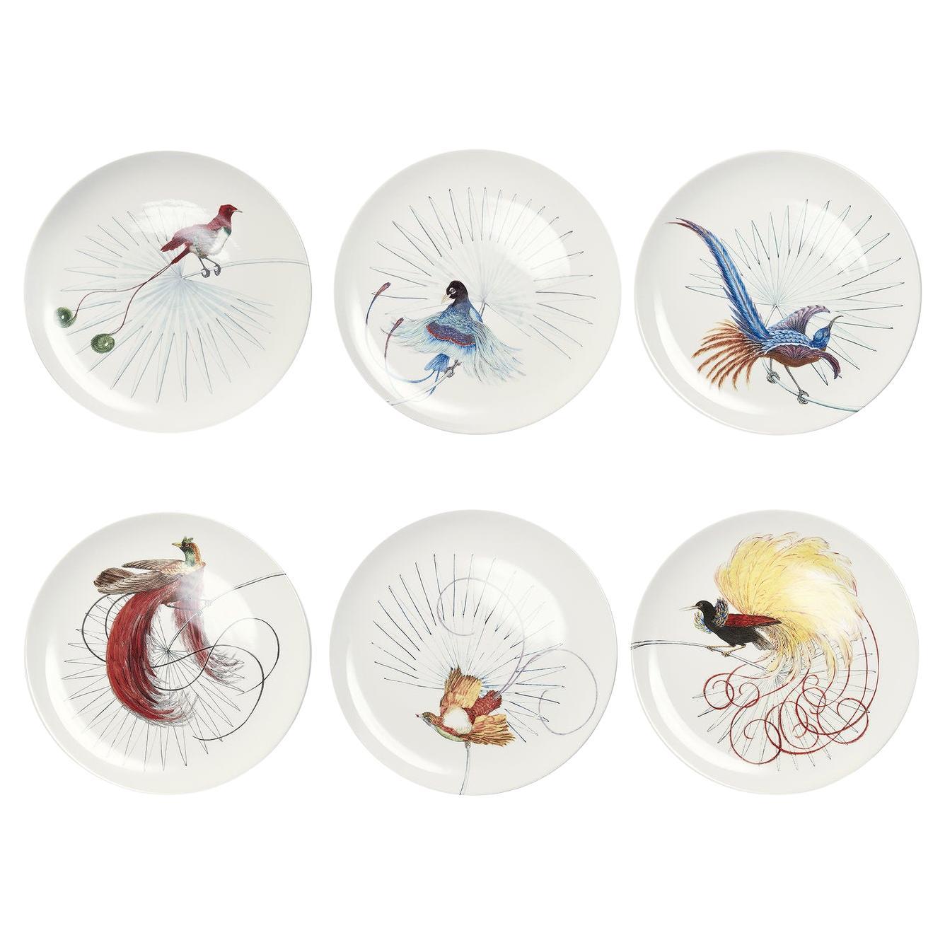 Set of 6 Birds of Paradise white dinner plates by Laboratorio Paravicini For Sale