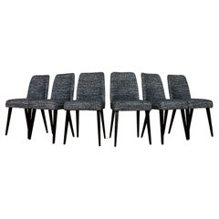 Used Set Of 6 Black Chairs, 1960s, Poland