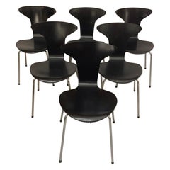 Set of 6 Black Mosquito Chairs by Arne Jacobsen Fritz Hansen Denmark, 1950s