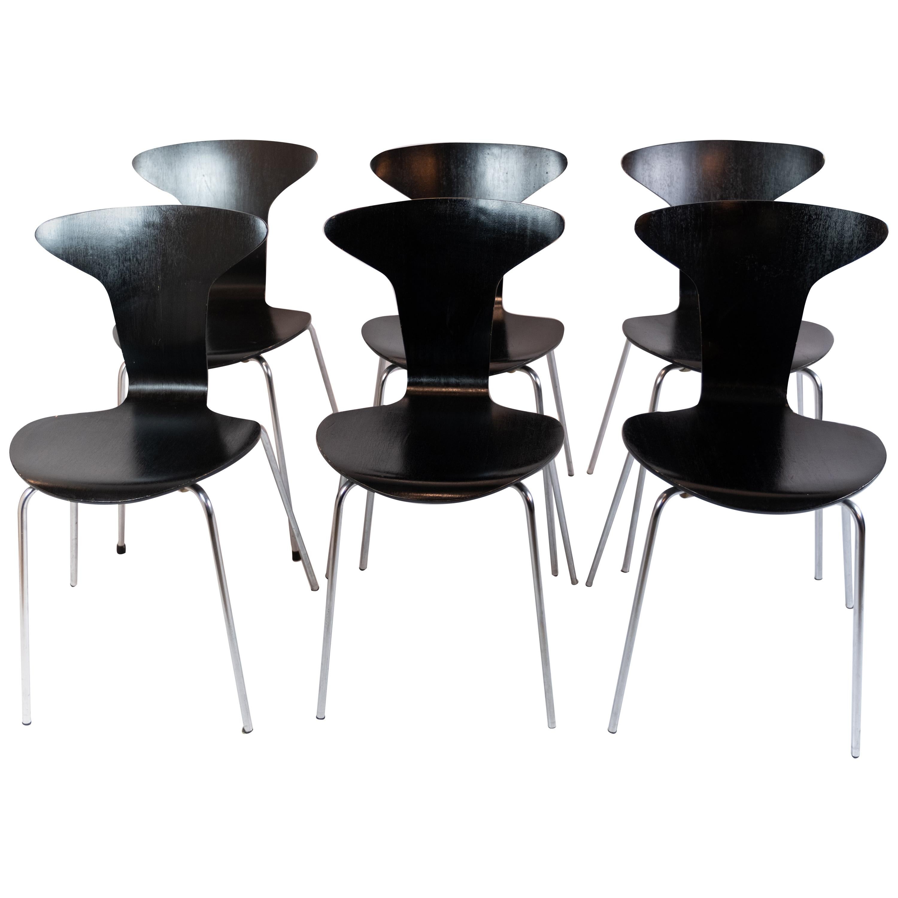 Set von 6 schwarzen Munkegaard-Stücken, entworfen von Arne Jacobsen im Jahr 1955 im Angebot