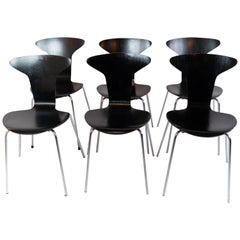 Set von 6 schwarzen Munkegaard-Stücken, entworfen von Arne Jacobsen im Jahr 1955