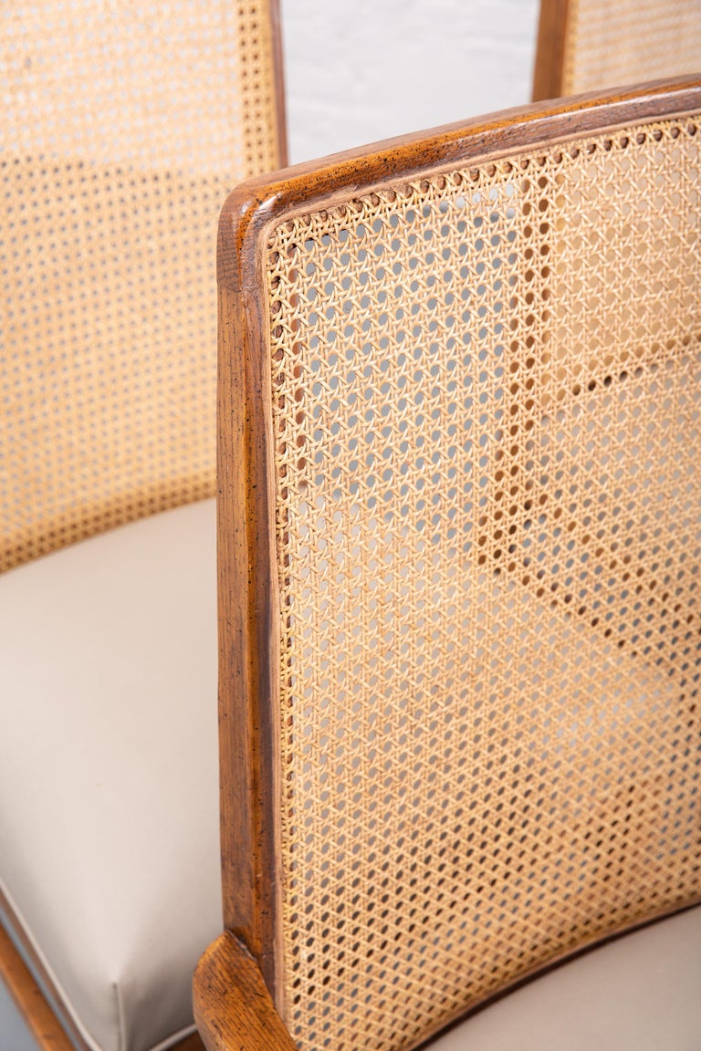 Set of 6 Cane Mid-Century Style Dining Chairs For Sale at 1stDibs