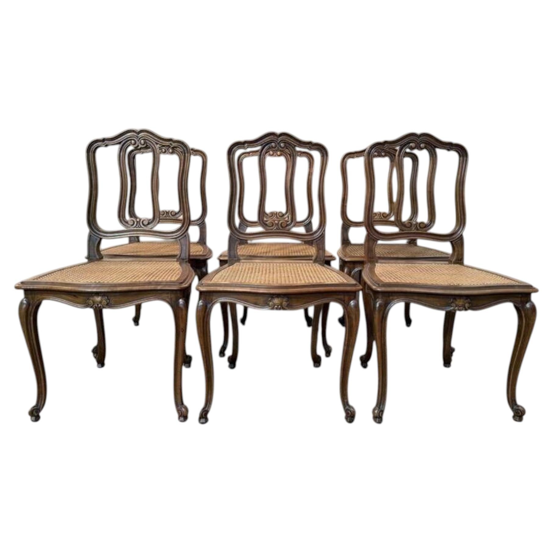 When were cane back chairs popular?