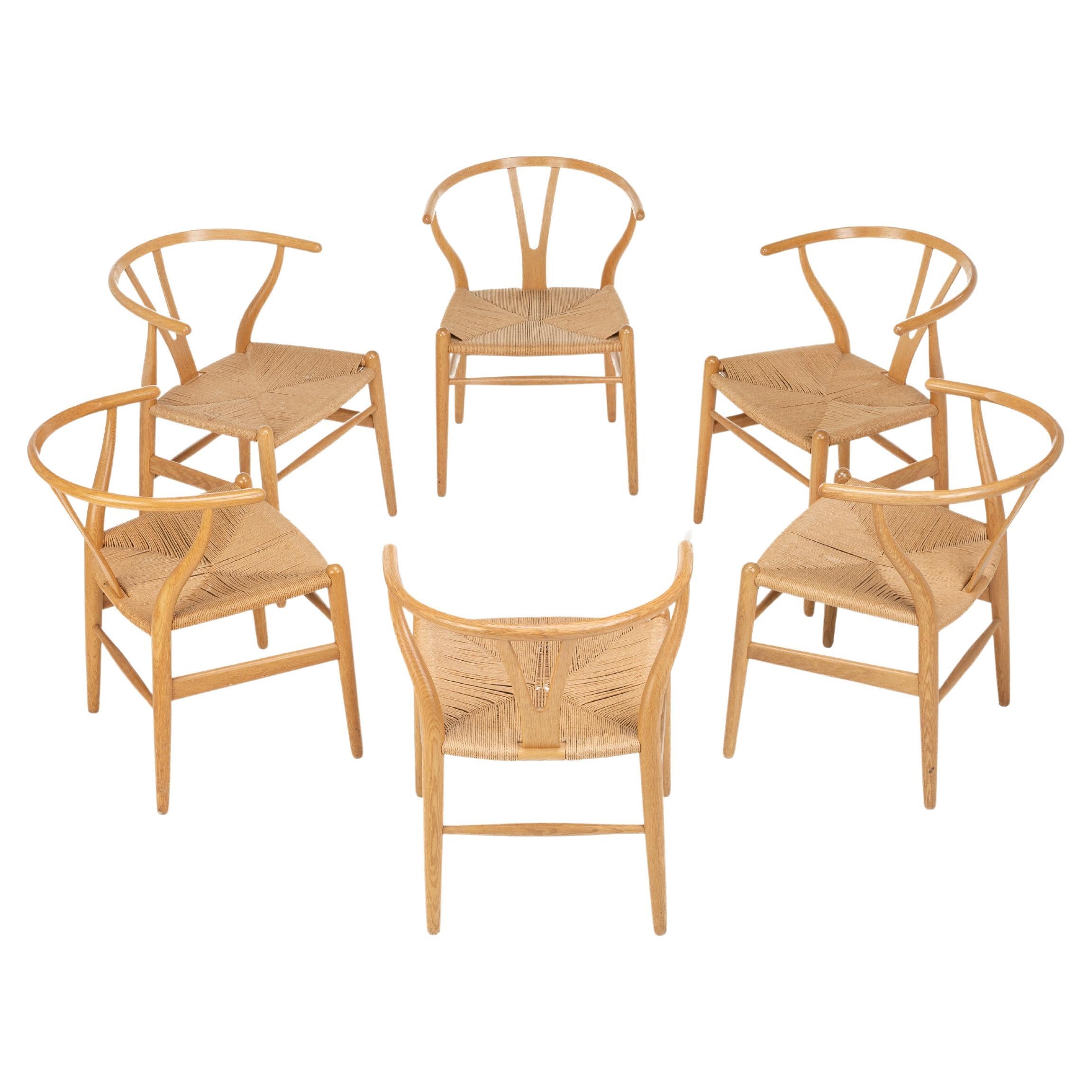 Set of 6 'CH24' wishbone dining chairs by Hans J Wegner for Carl Hansen, Denmark
