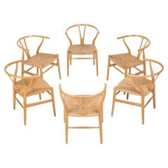 Set of 6 'CH24' wishbone dining chairs by Hans J Wegner for Carl Hansen, Denmark