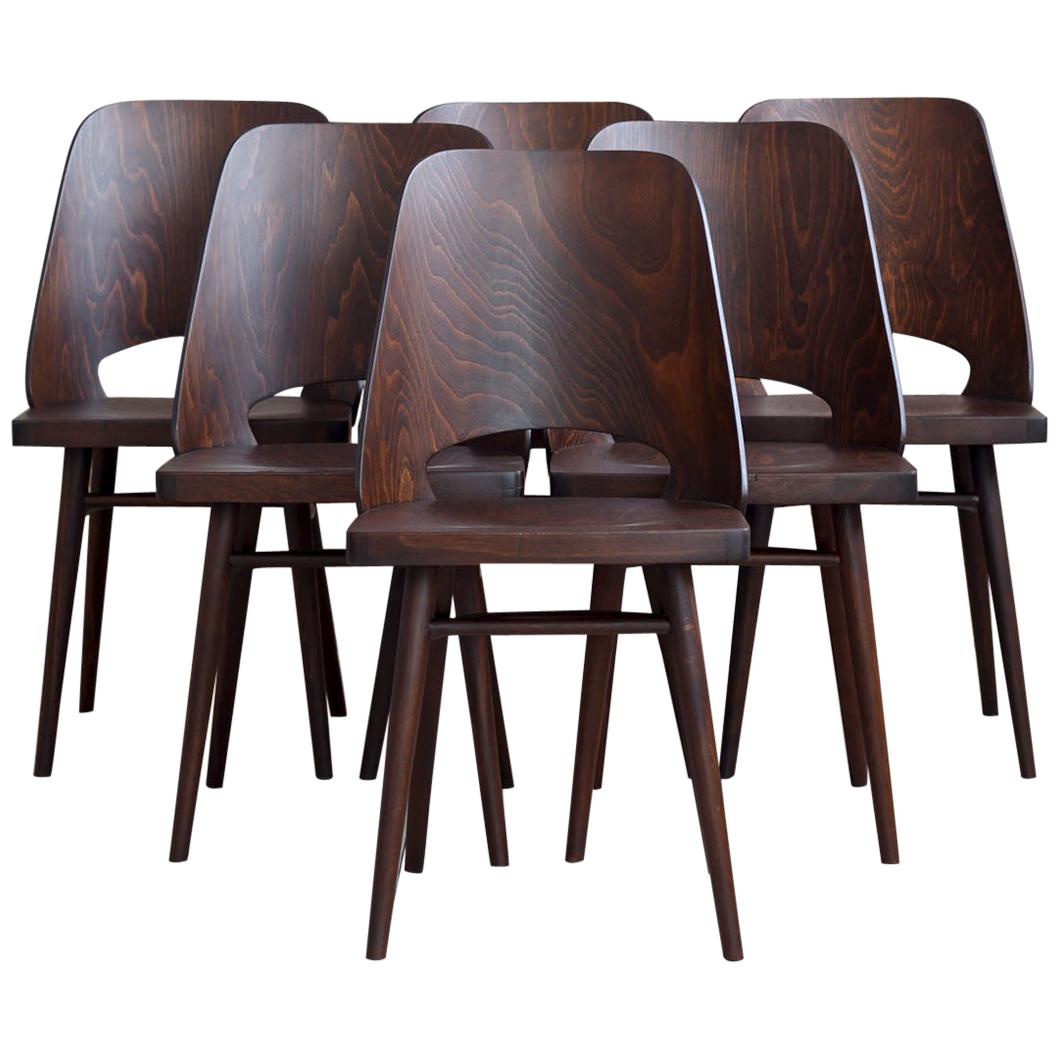 Set of 6 Chairs by Oswald Haerdtl, Beech Veneer, Oil Finish