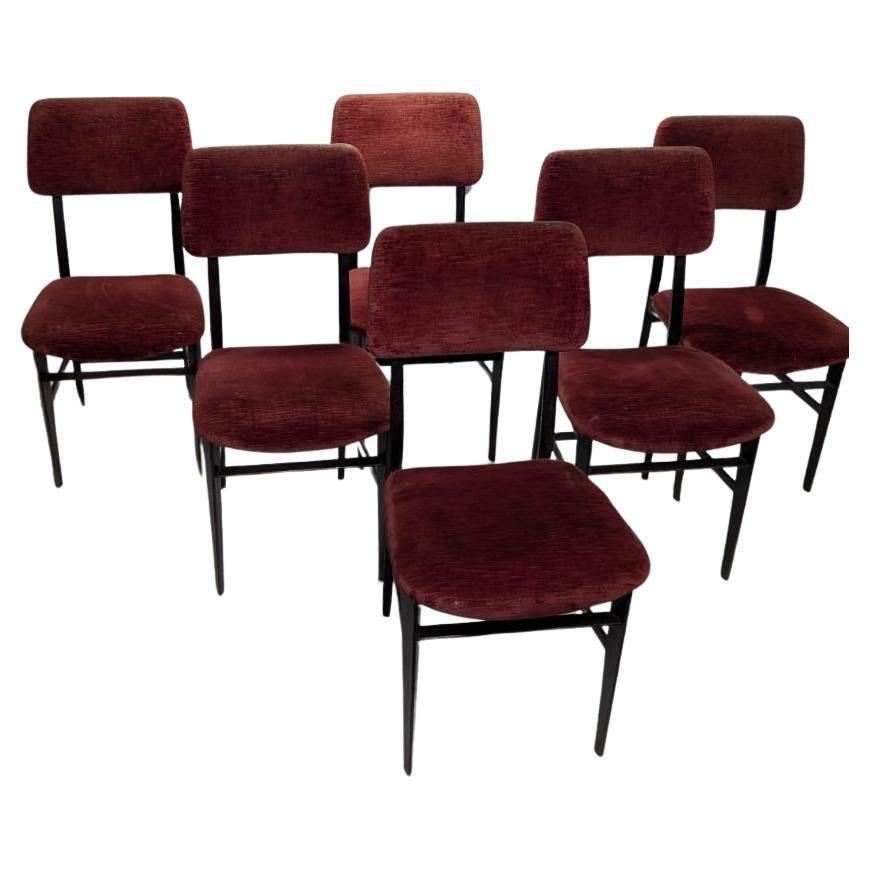 Set of 6 chairs by Vittorio Dassi, 50s For Sale