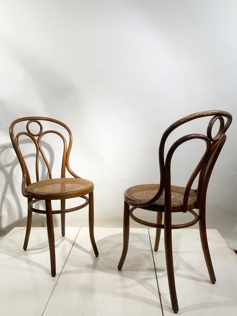 Set of 6 Chairs in bentwood by Josef Hoffmann for Mundus Vienna