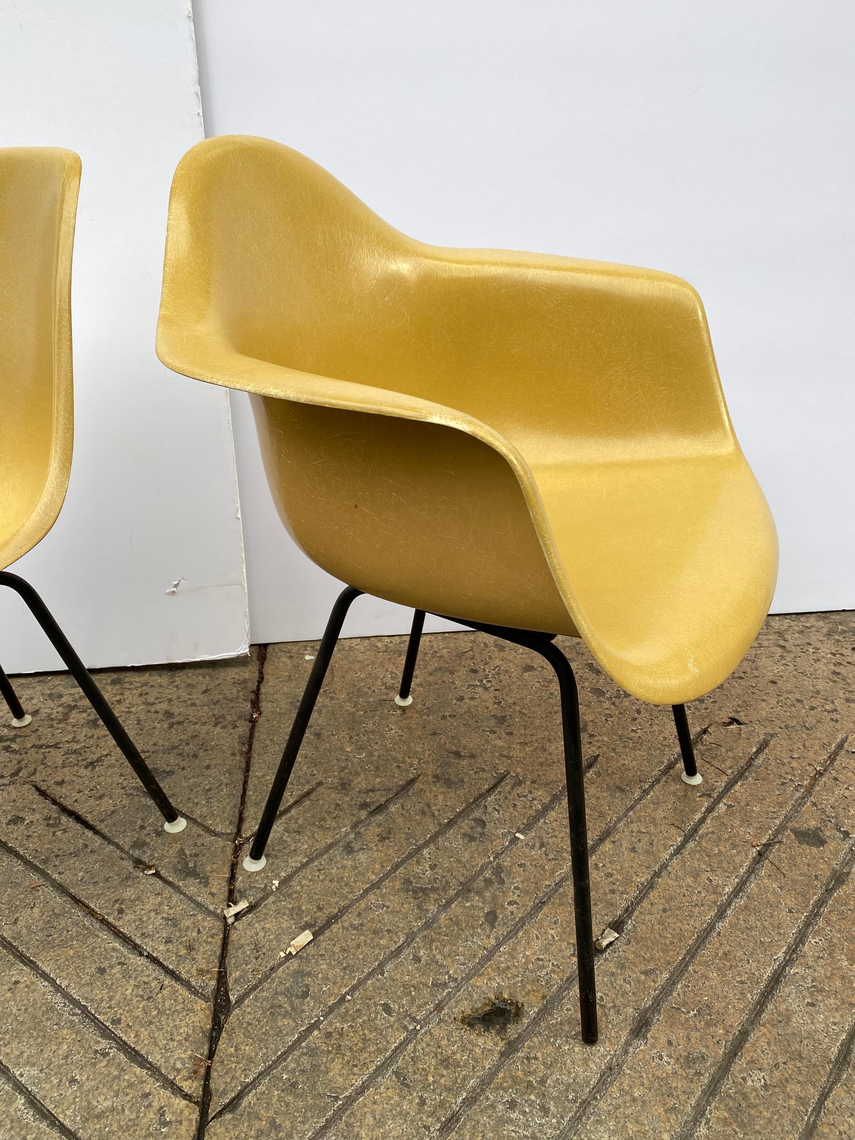 Set of 6 Charles and Ray Eames Fiberglass Chairs 3