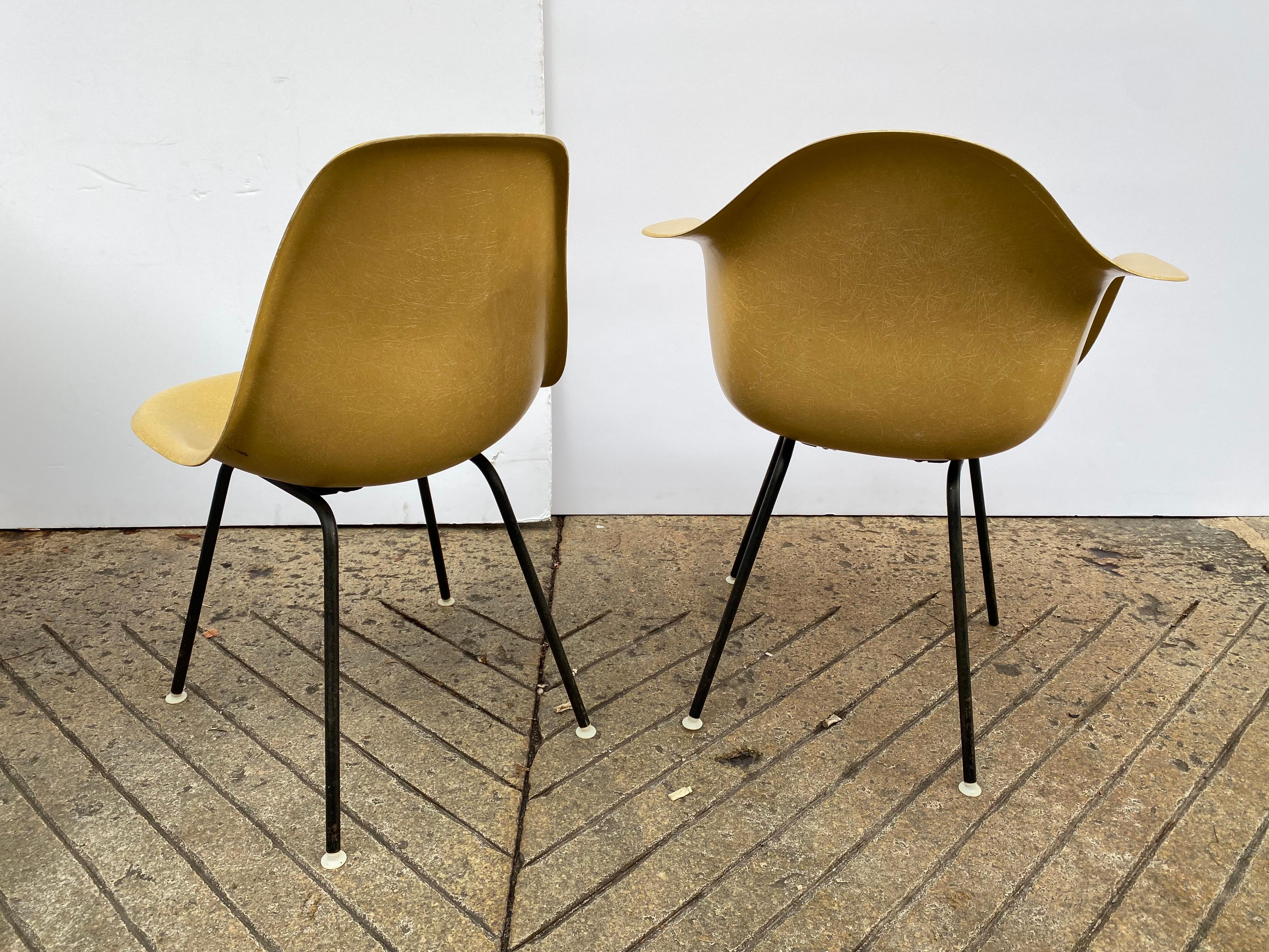 Set of 6 Charles and Ray Eames Fiberglass Chairs 5