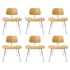 Used Set of 6 Charles Eames "DCM" Molded Plywood Chairs for Herman Miller White Ash