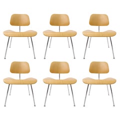 Used Set of 6 Charles Eames "DCM" Molded Plywood Chairs for Herman Miller White Ash