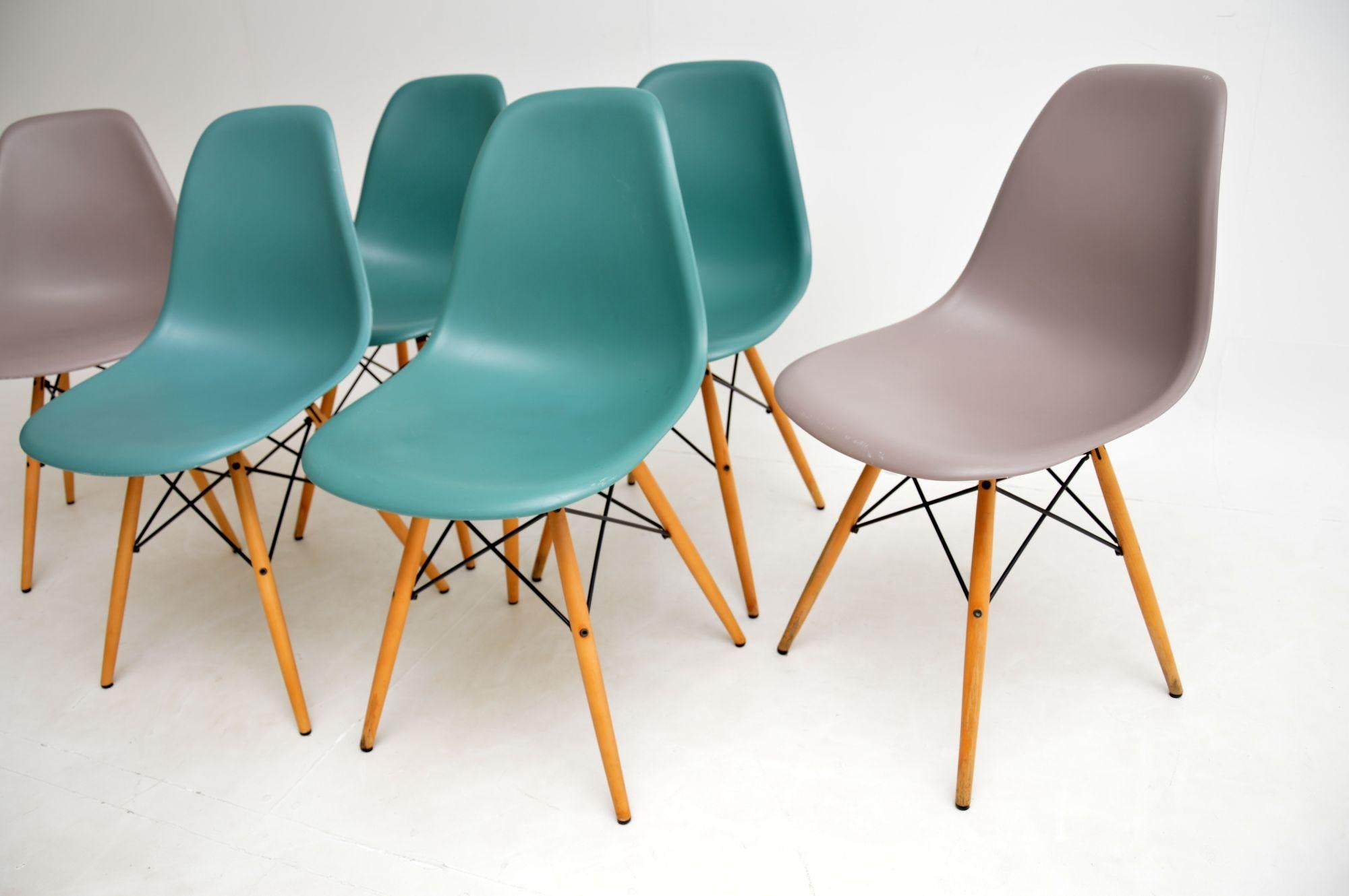 Set of 6 Charles Eames for Vitra DSW Dining Chairs 7